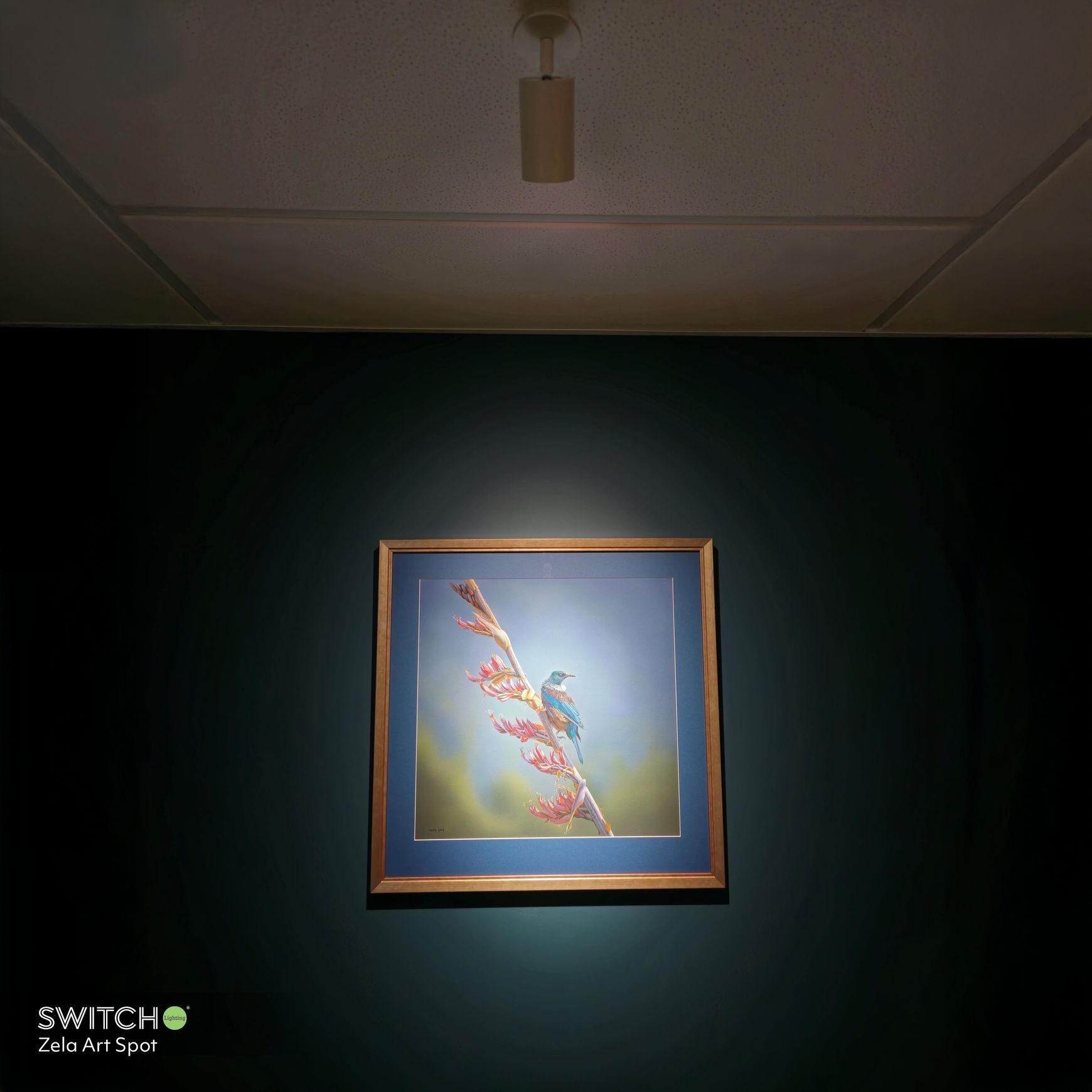 ZELA Art Spot Light