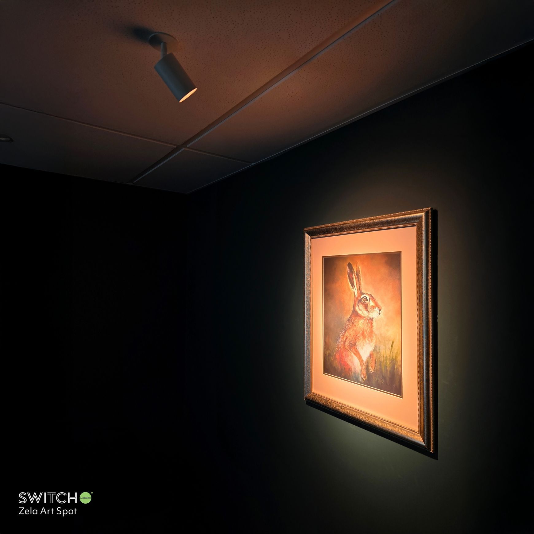ZELA Art Spot Light