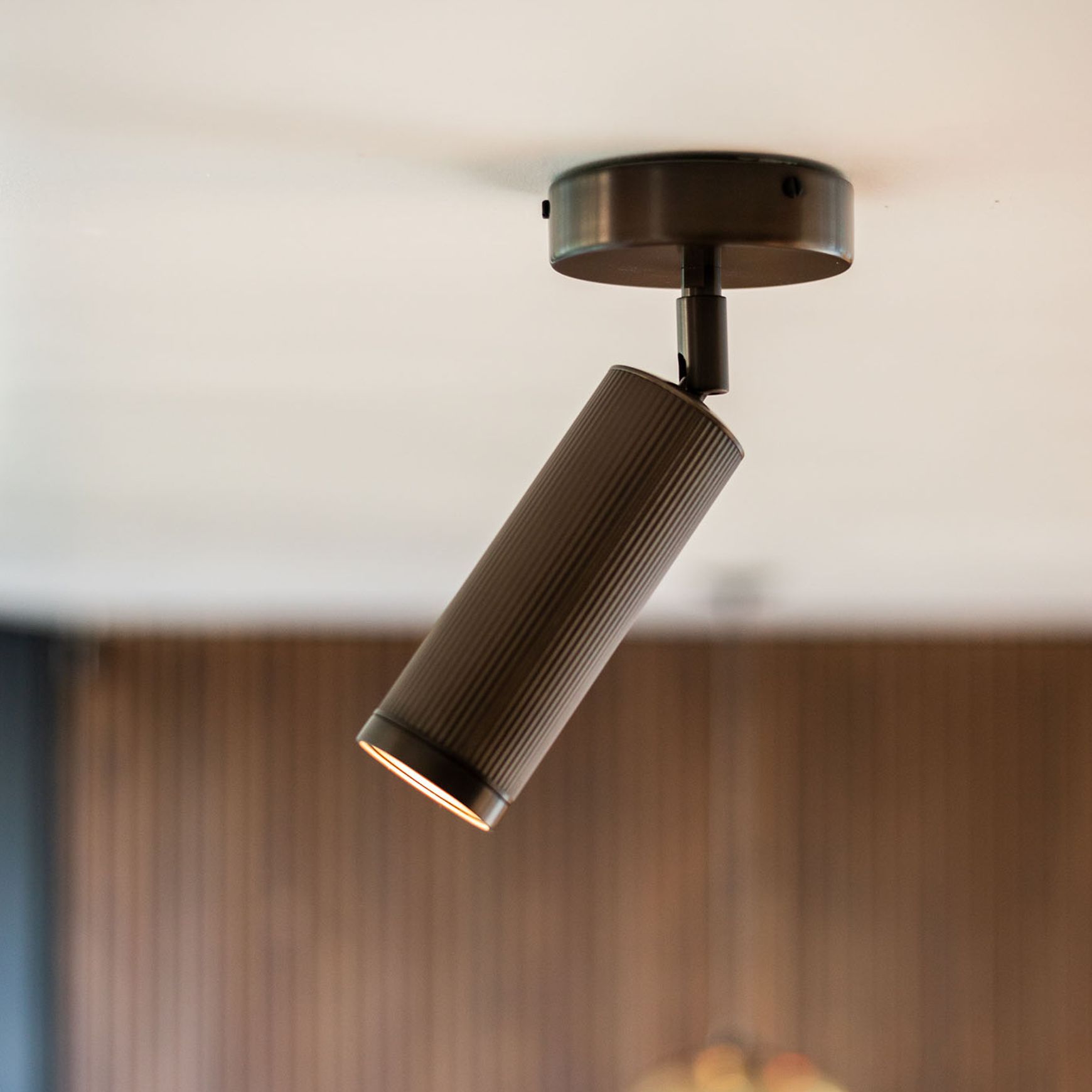 Spot Ceiling Light