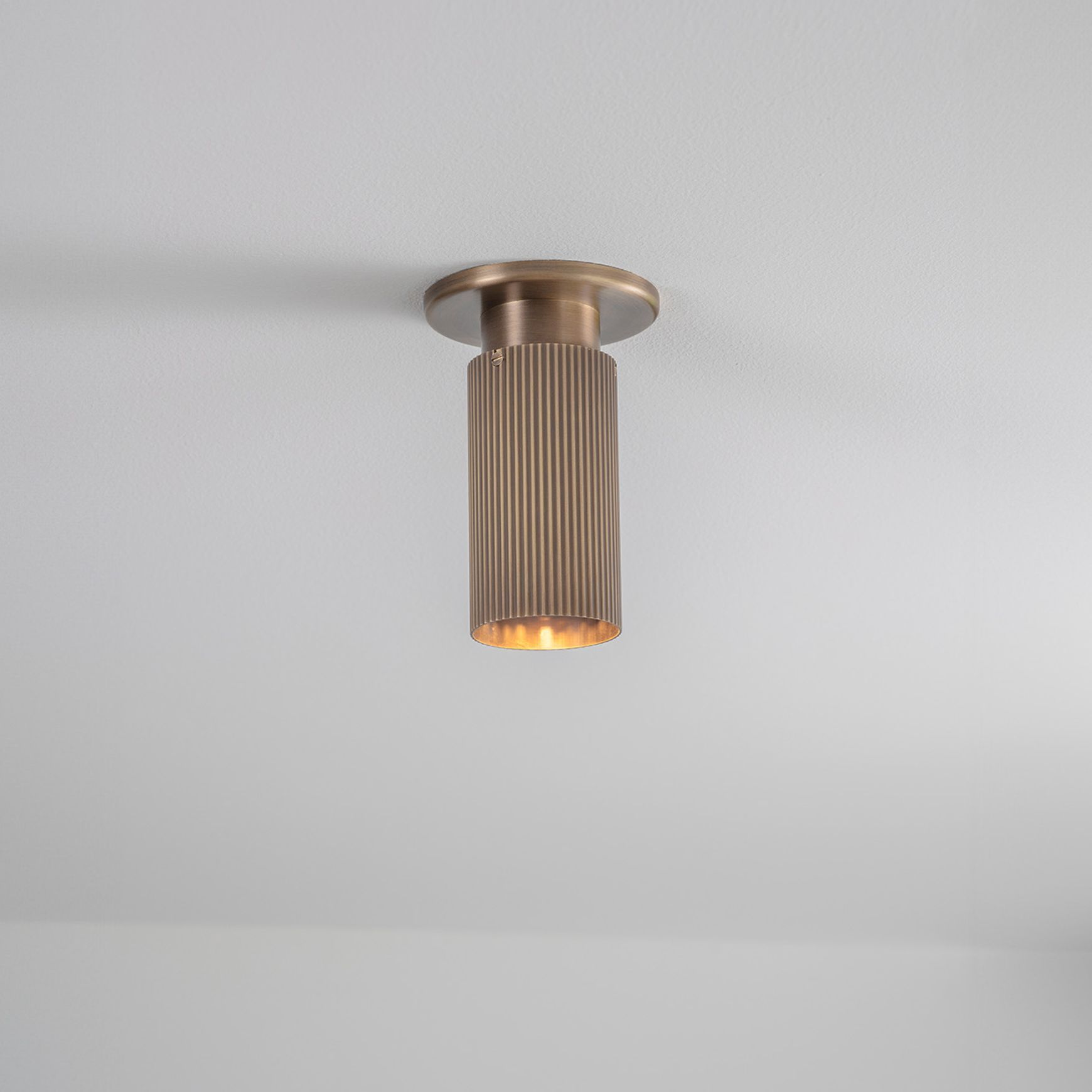 Spot Pro Mini Ceiling Light