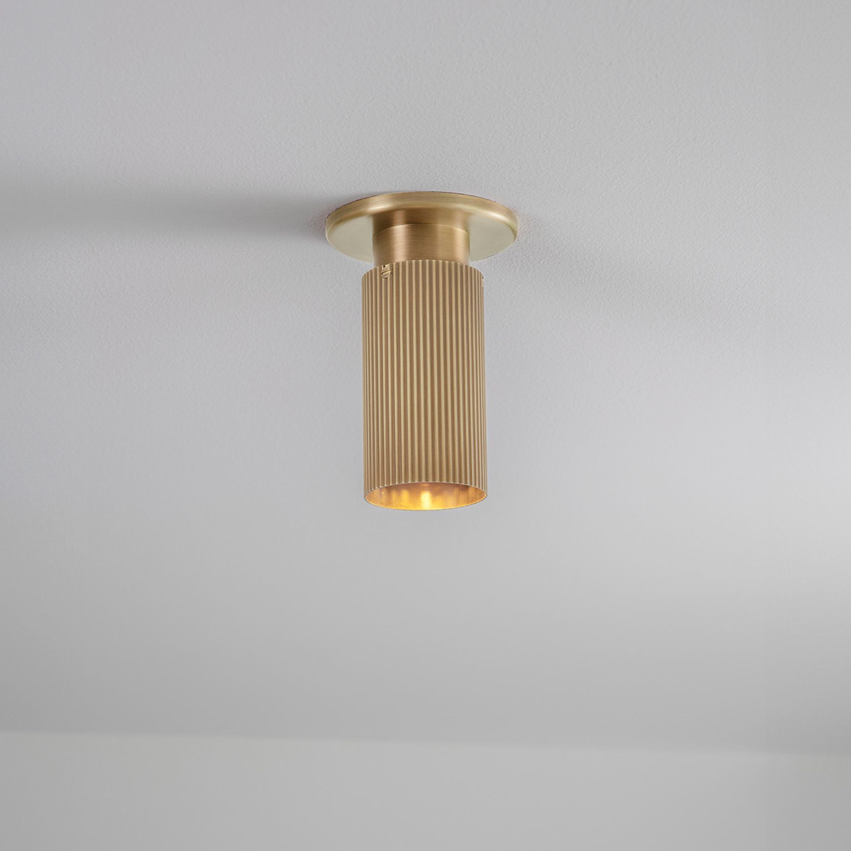 Spot Pro Mini Ceiling Light