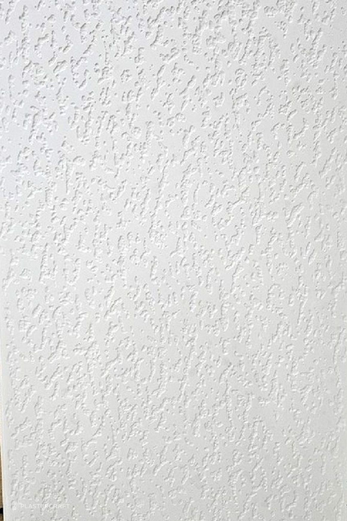 Ceiling Panels