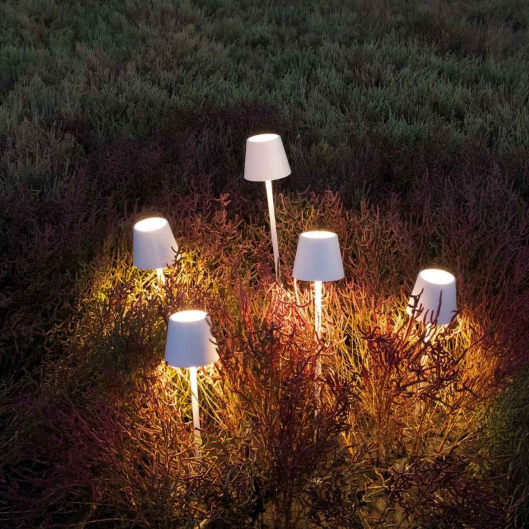 Poldina Table Lamp