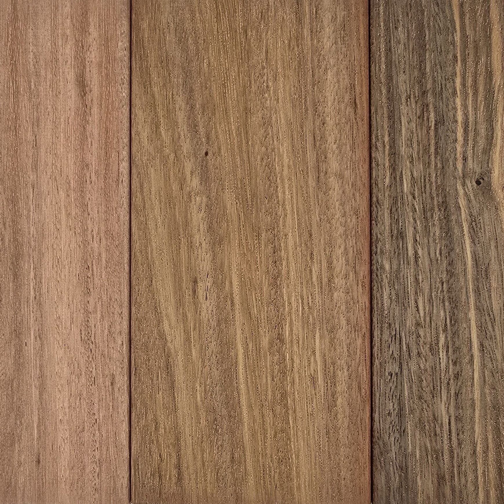 JSC Timber Species Range