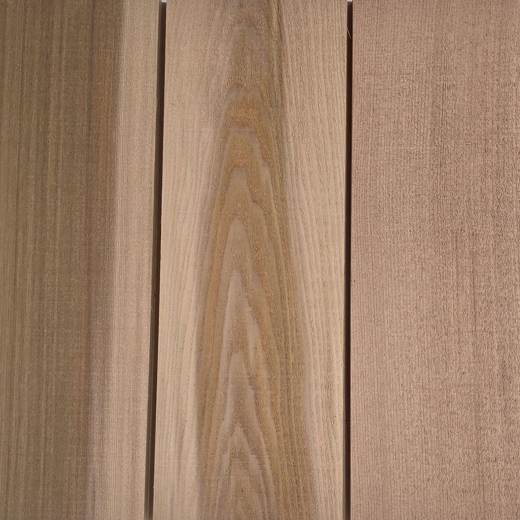 JSC Timber Species Range