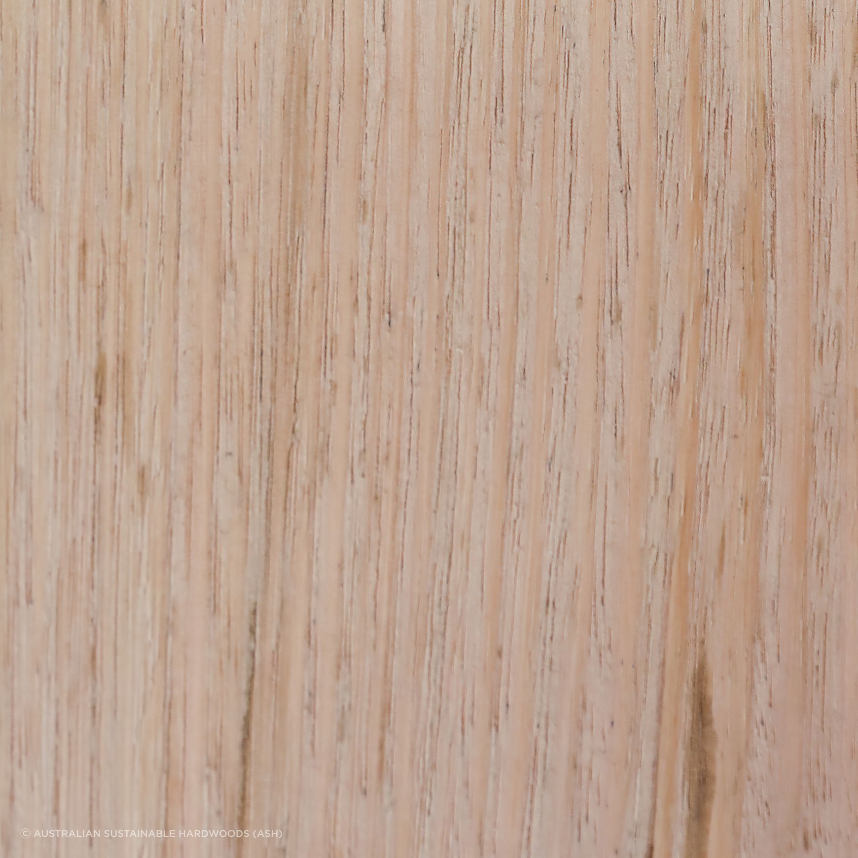 IronAsh External Timber