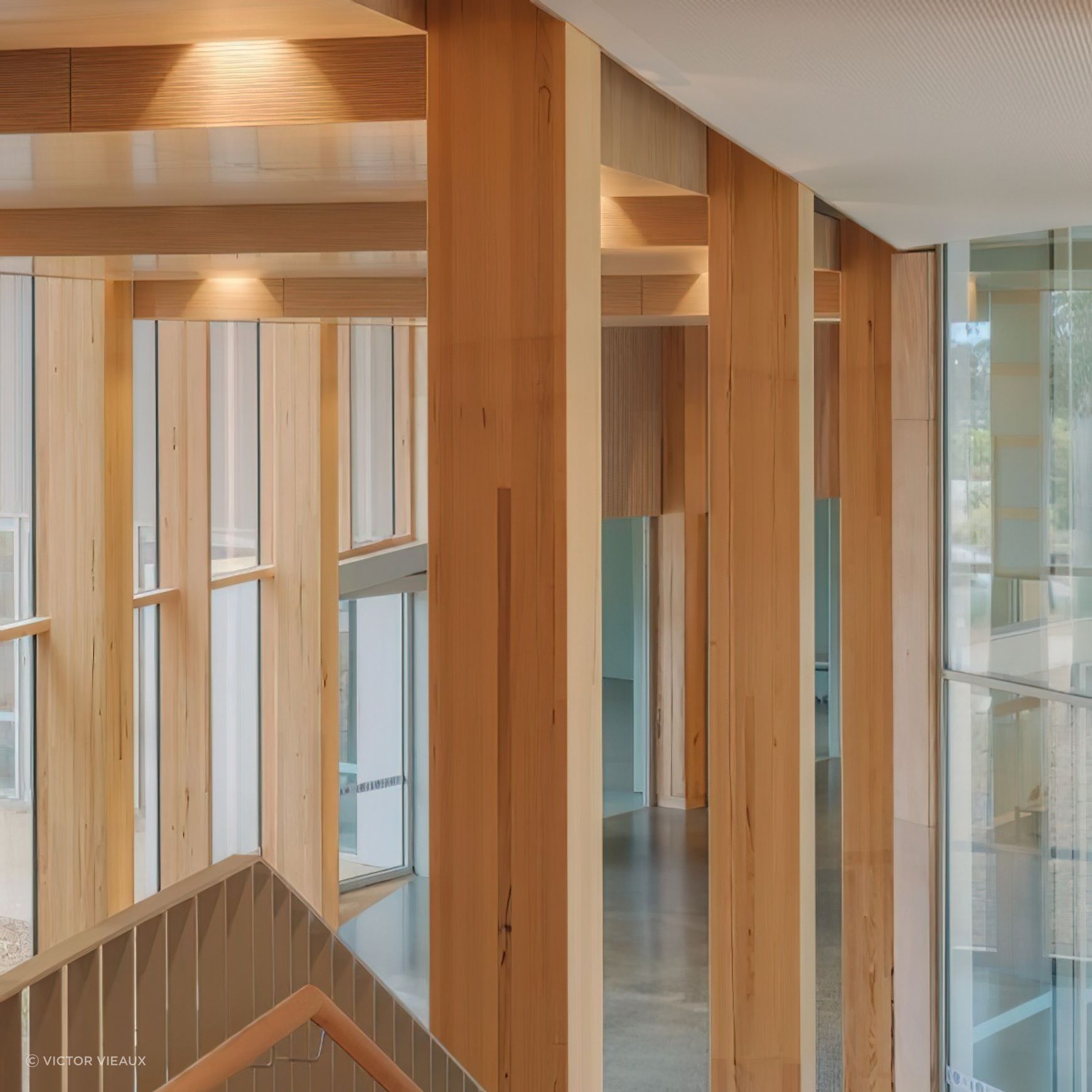 Mass Timber