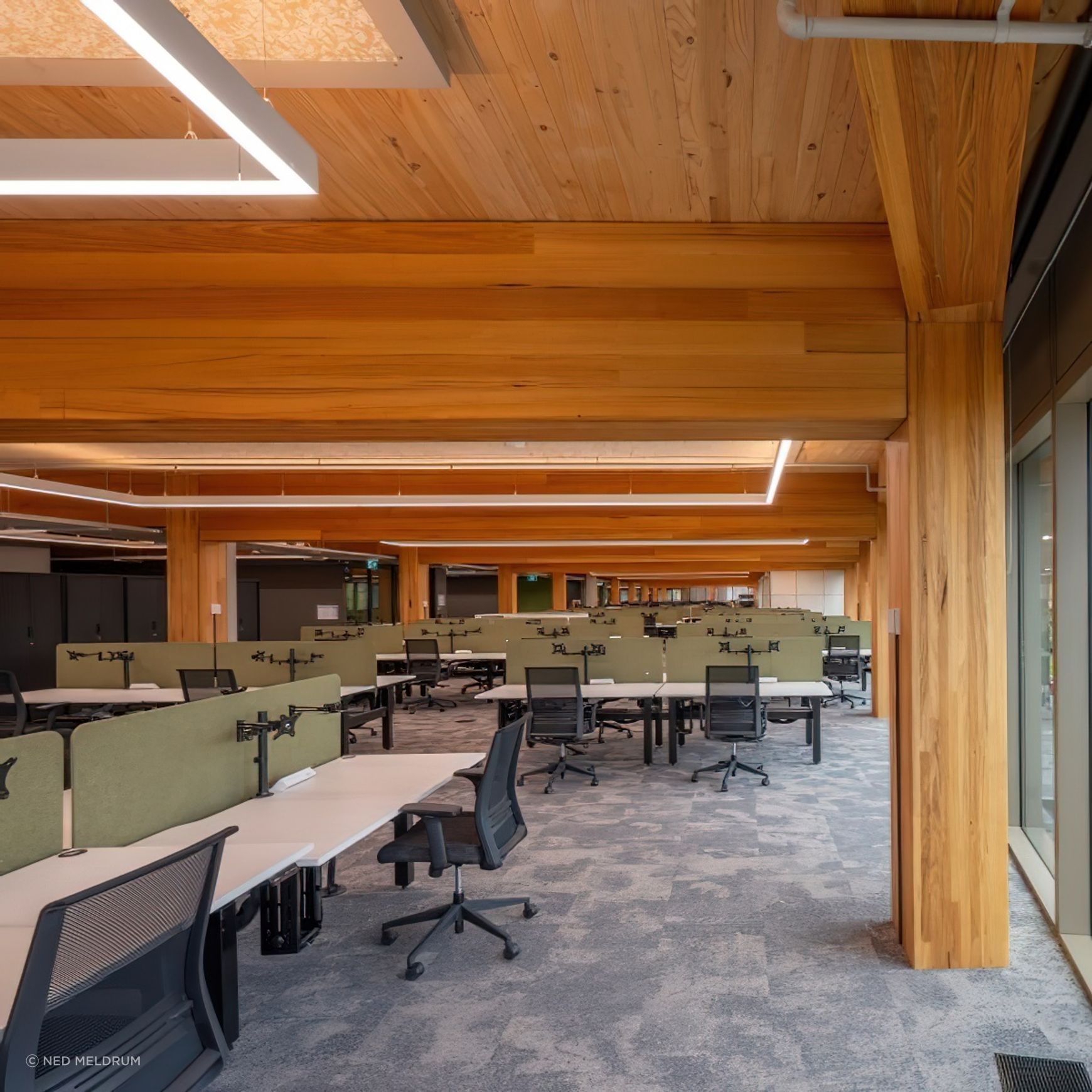 Mass Timber
