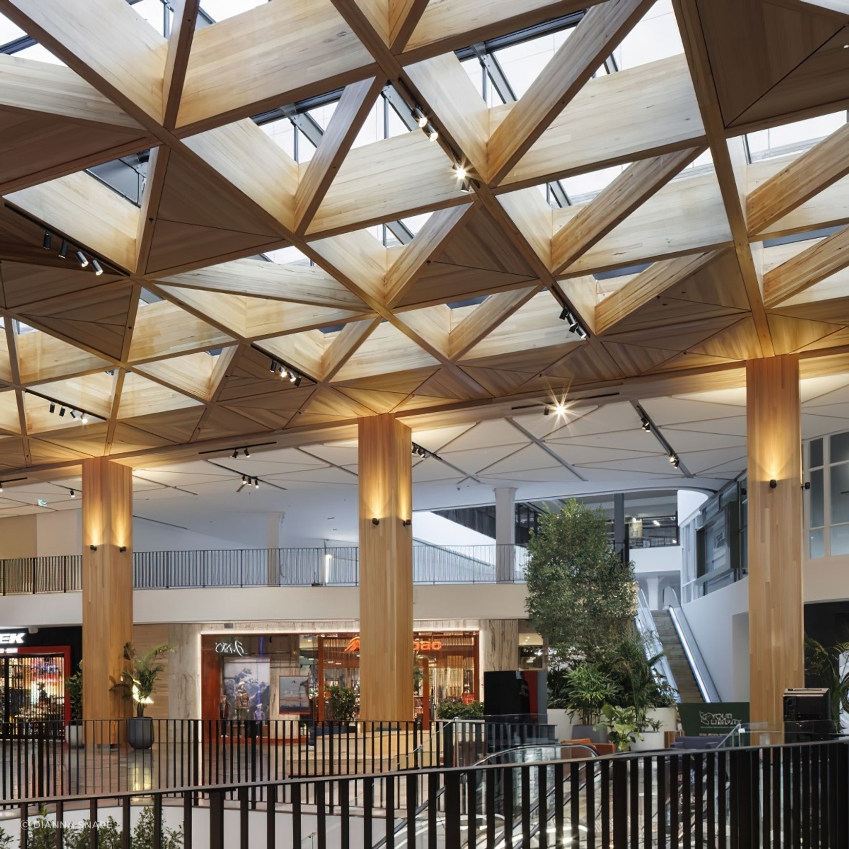 Mass Timber