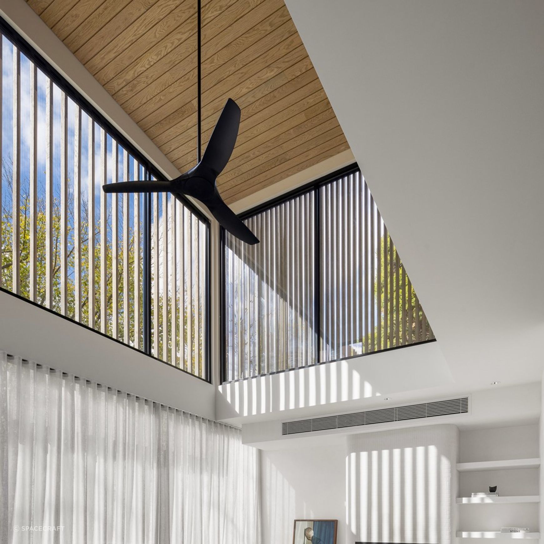 Glacial Oak Timber