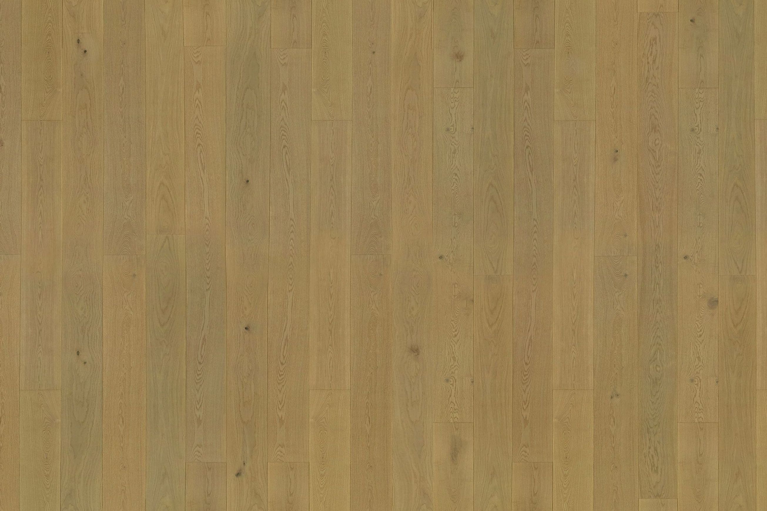 Graupa | Solid European Oak Floor Boards