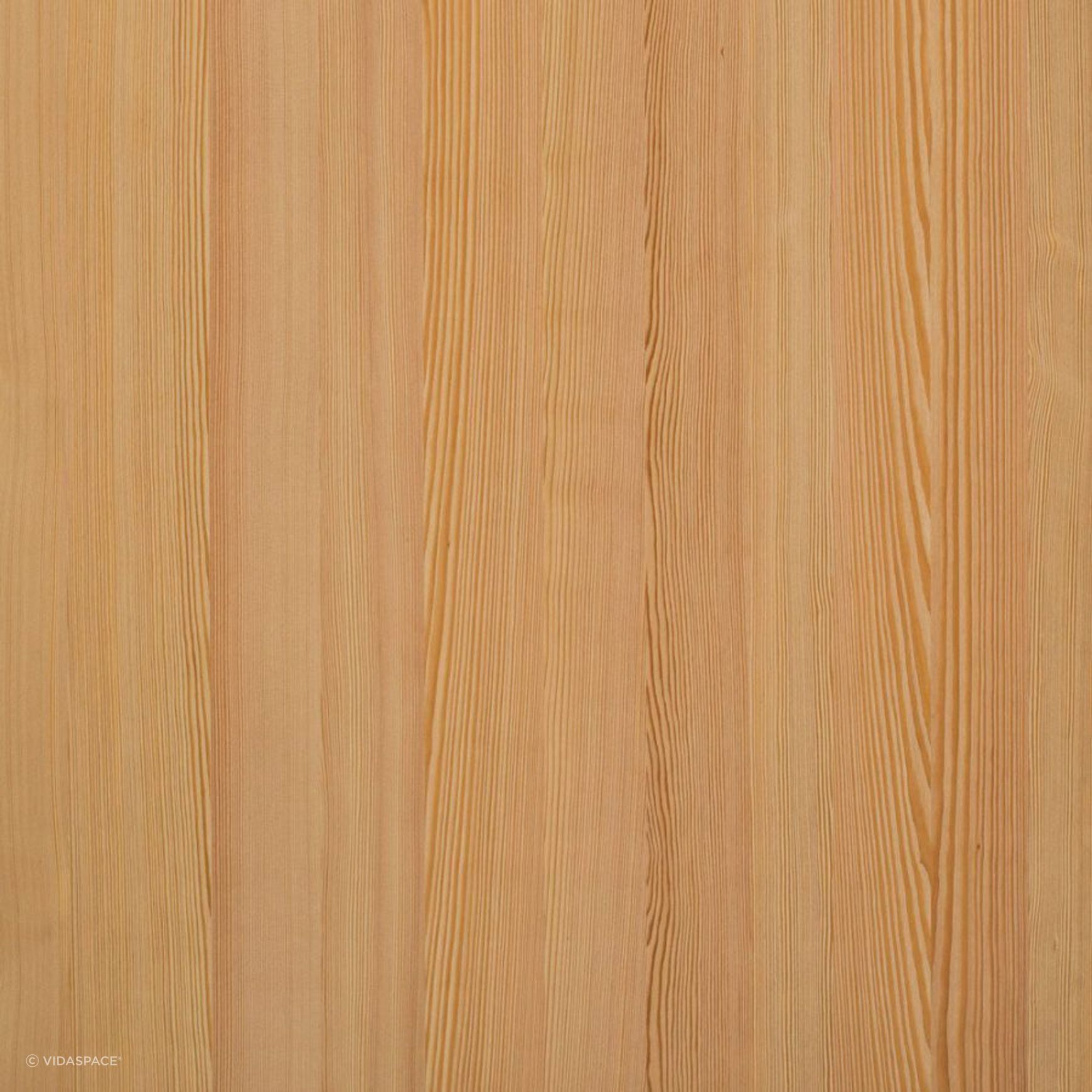 Spring Larch Nørdus Unfinished Timber Veneer
