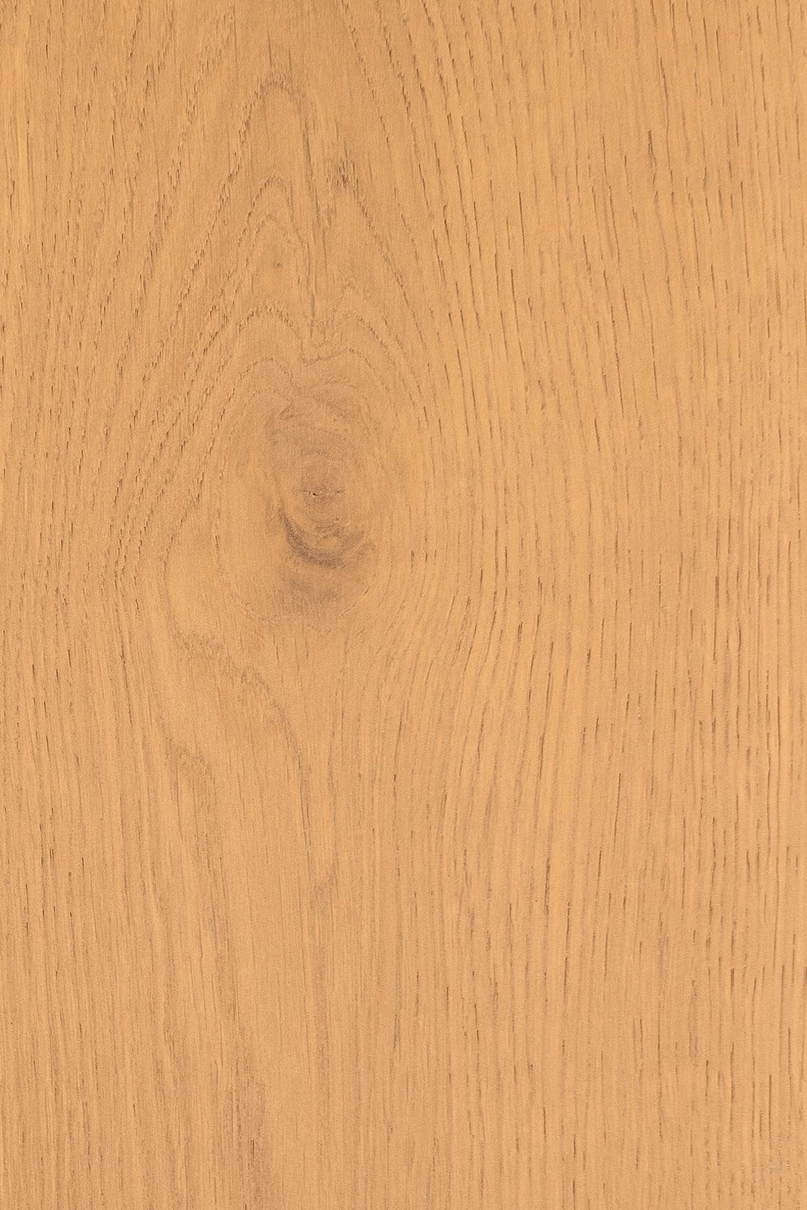 DOMO | TRUNK™ Timber Flooring | 220mm Wide Plank