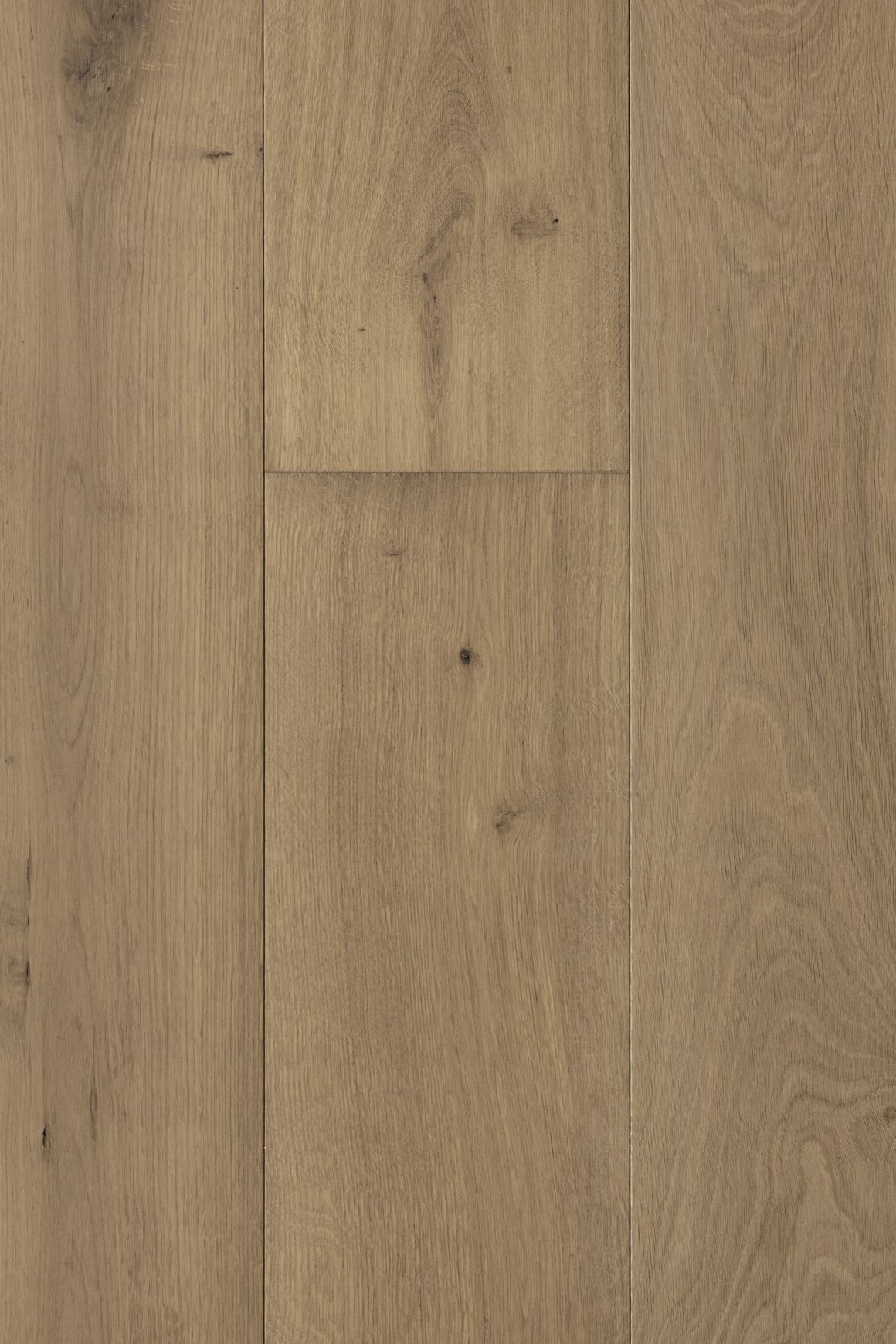Atelier Siltstone Timber Flooring