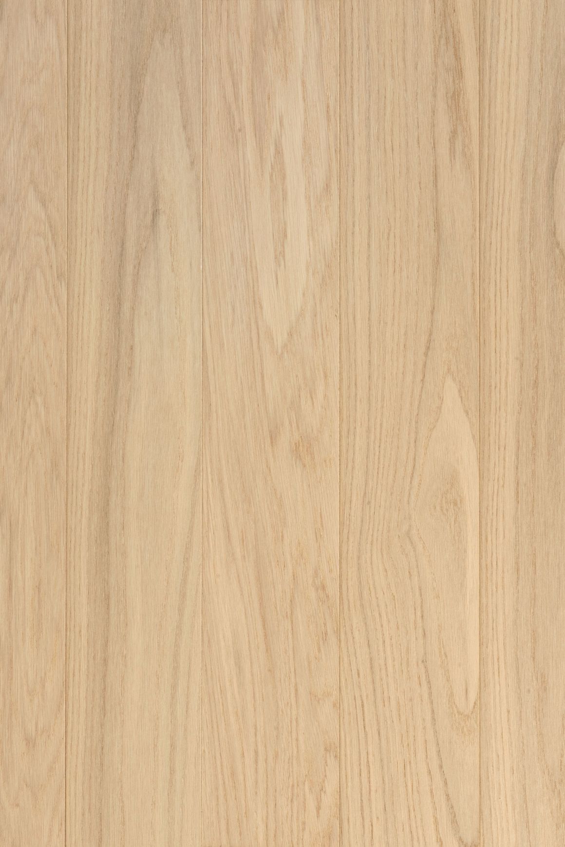 Muuro Interior Wall & Ceiling Panelling