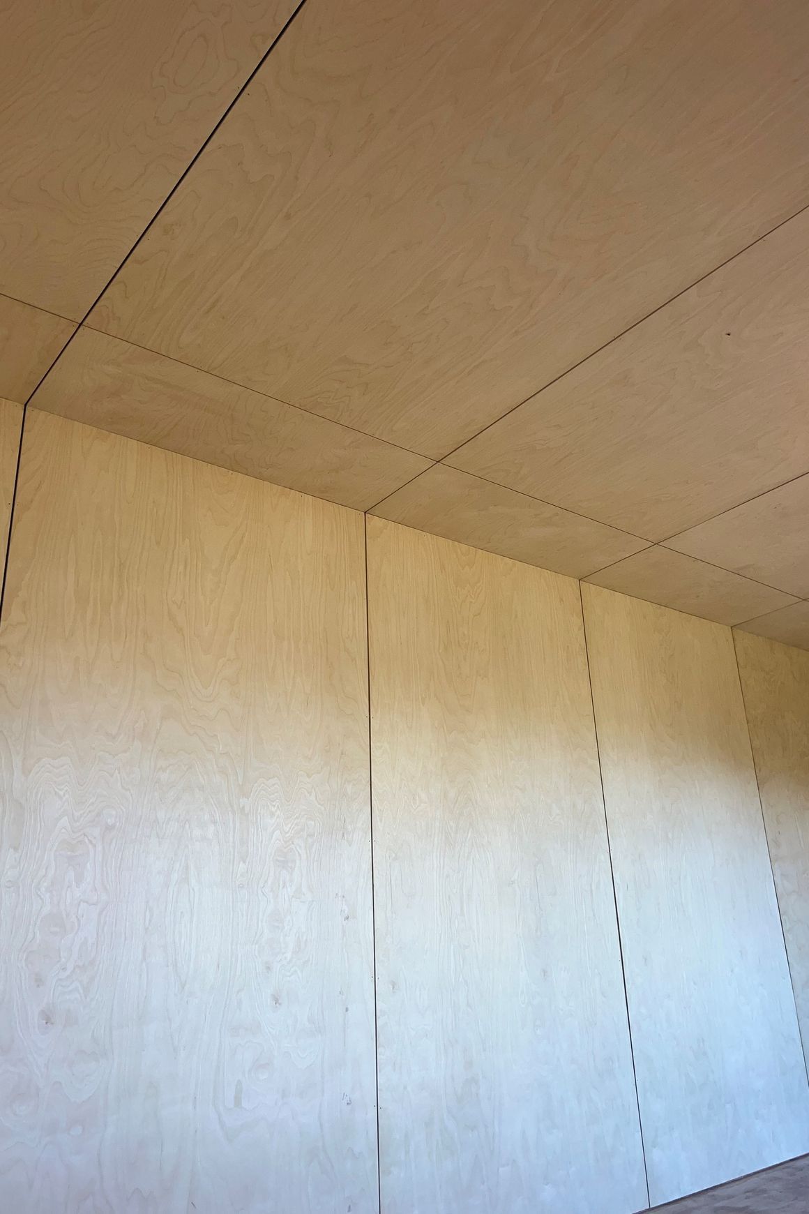 Rapidline Birch UV Plywood
