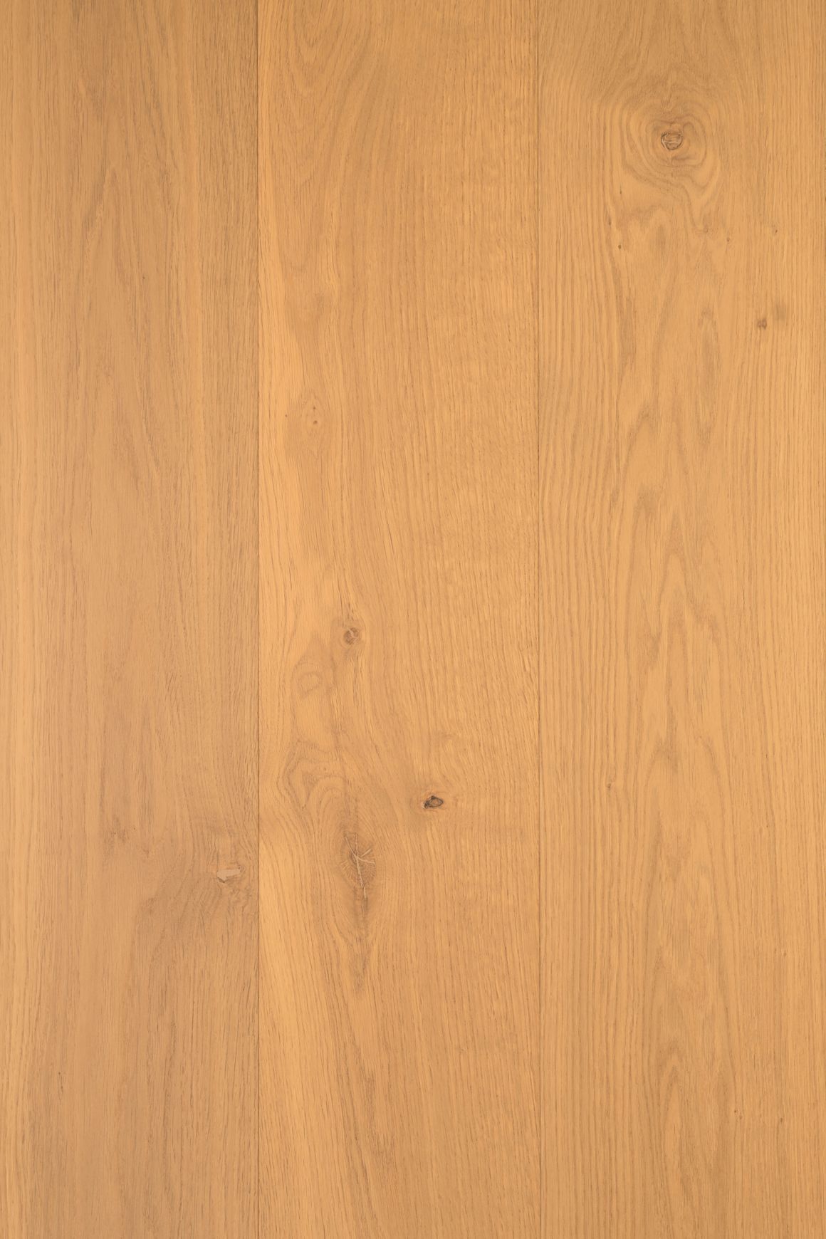 DOMO | TRUNK™ Timber Flooring | 220mm Wide Plank