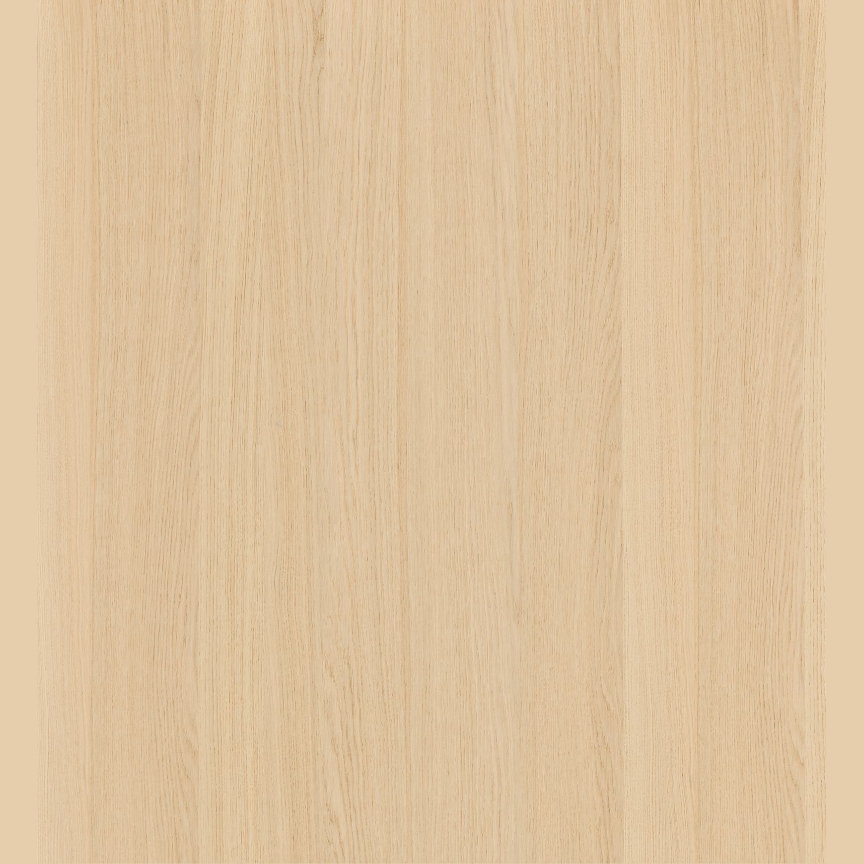 Milk Oak Shinnoki Prefinished Timber Veener