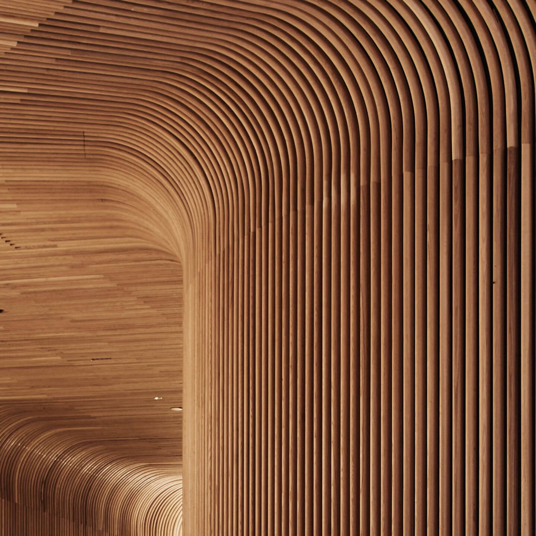 Curved Timber Click-on Battens