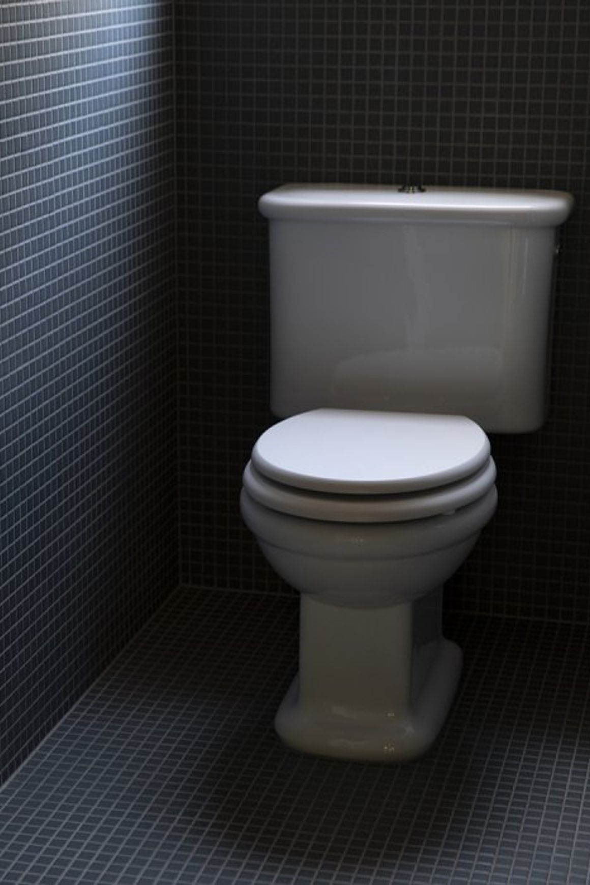 Rockwell Toilet With Close Coupled Cistern Pan
