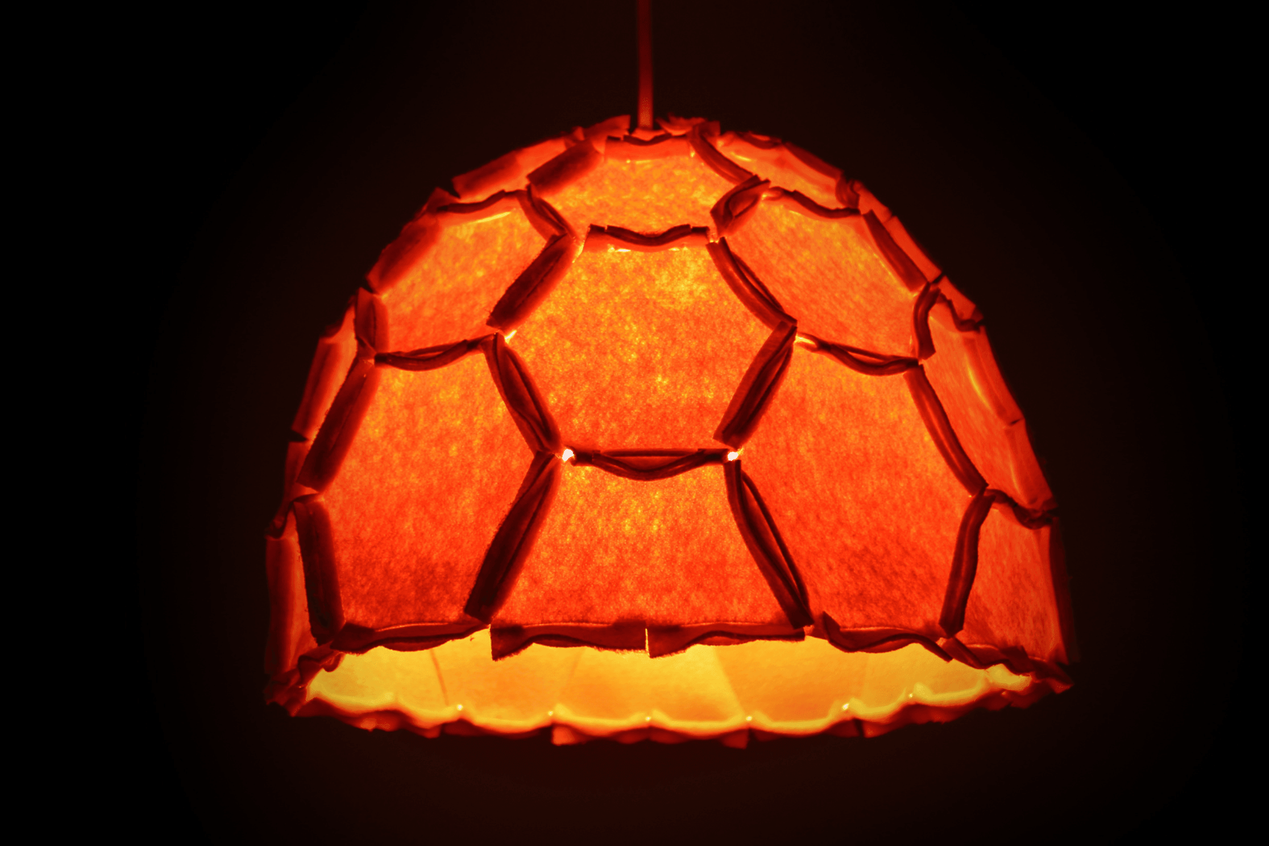 Nectar Lights