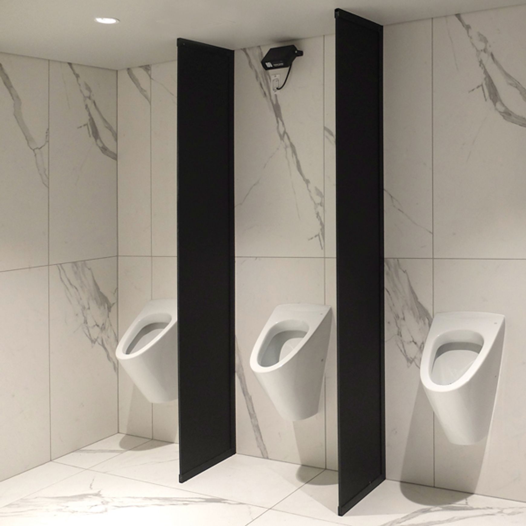 RAK Venice Wall Hung Urinal