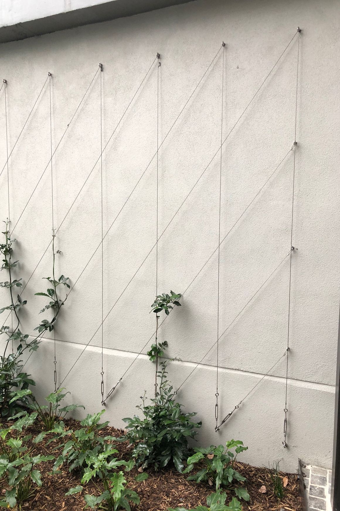 Green Wall Support Systems