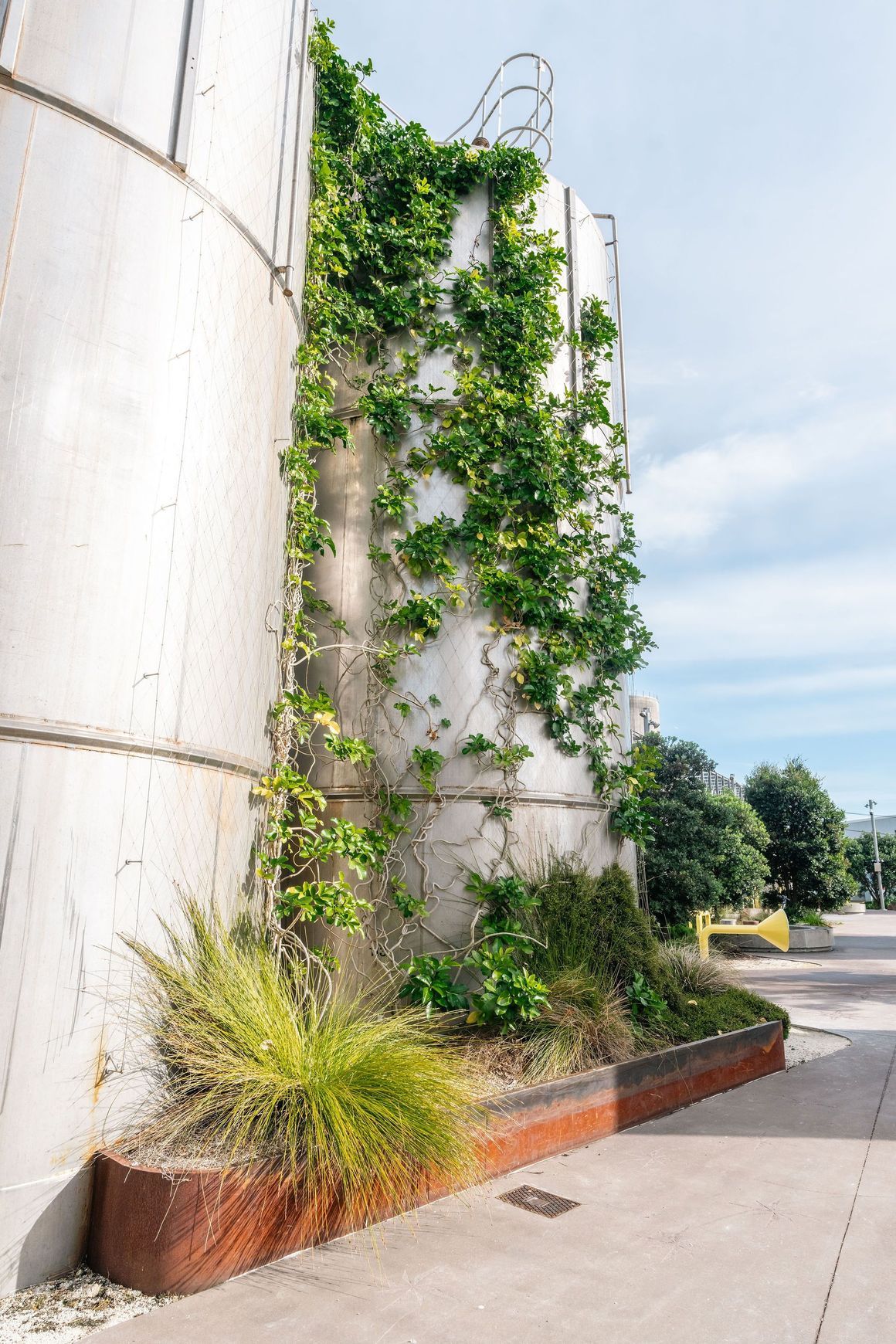Green Wall Support Systems