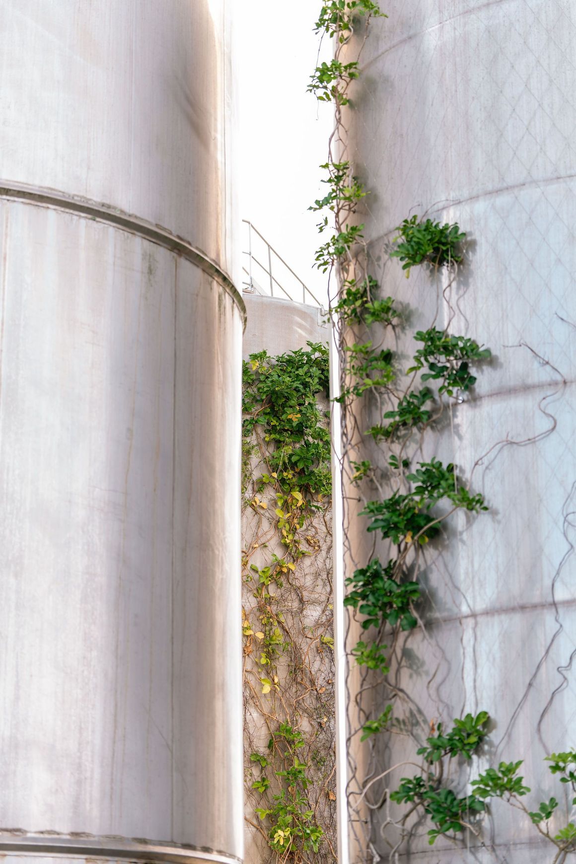 Green Wall Support Systems
