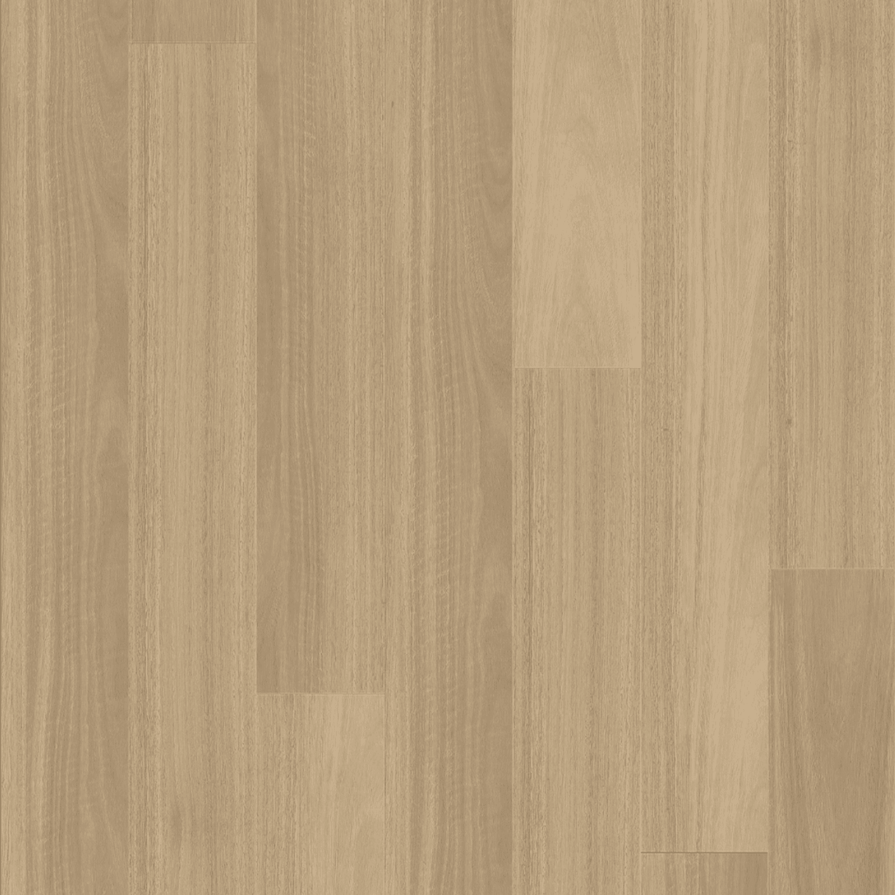 Kingswood Australis | Linen Gum