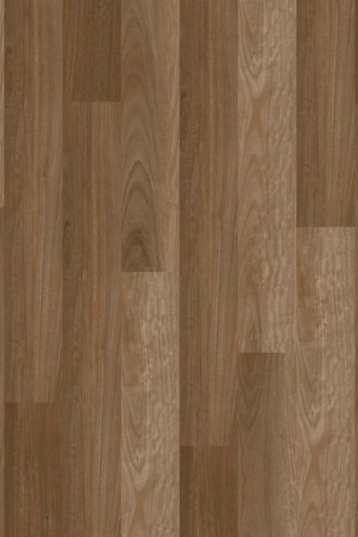 Natural Creations ArborArt | Sunrise Blackbutt