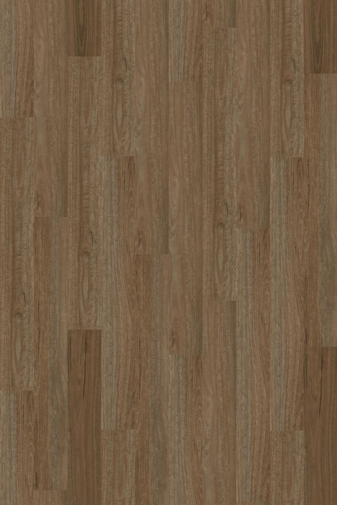 Natural Creations ArborArt | Morning Spotted Gum