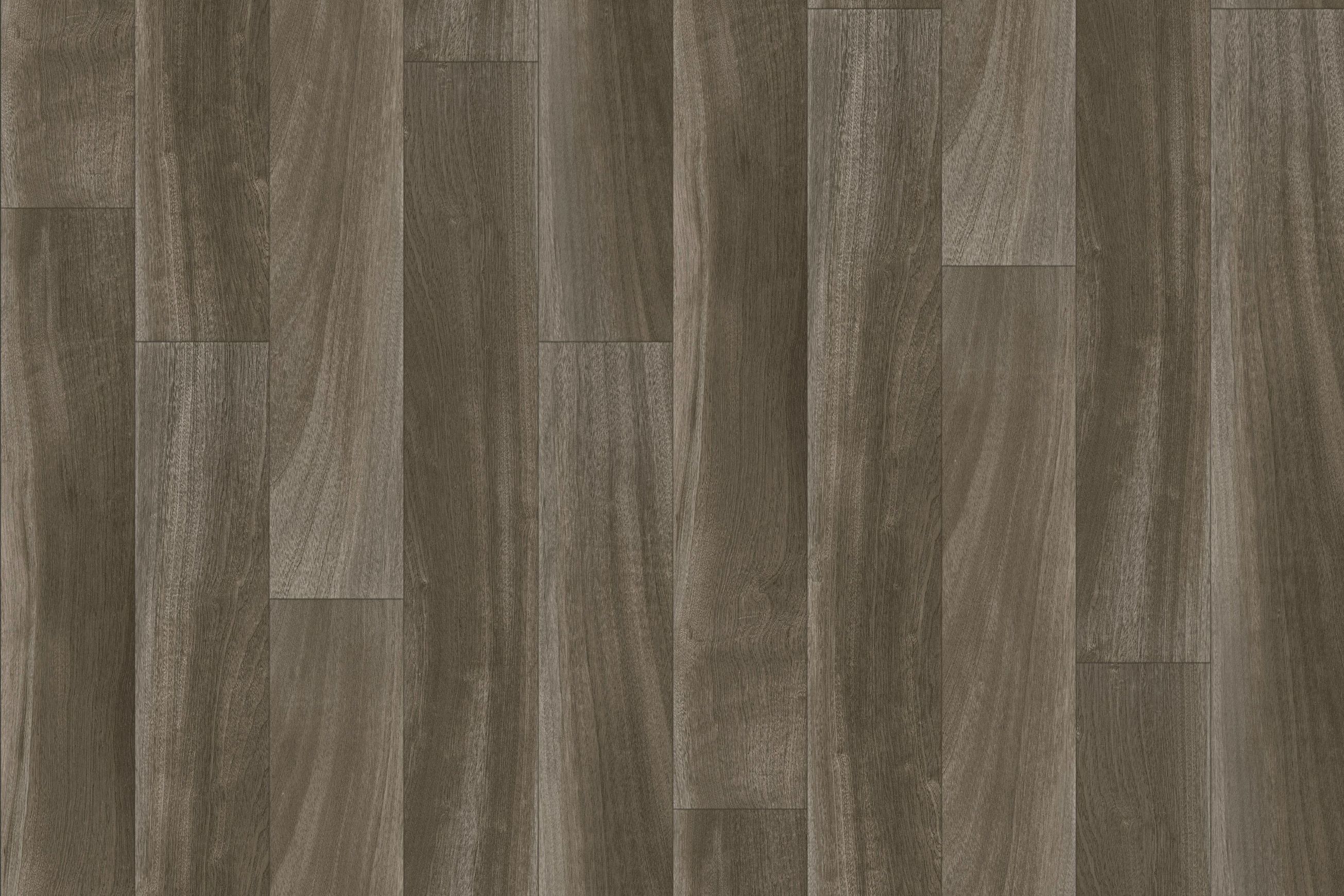 Timberline Plus | Ash Grey Plus