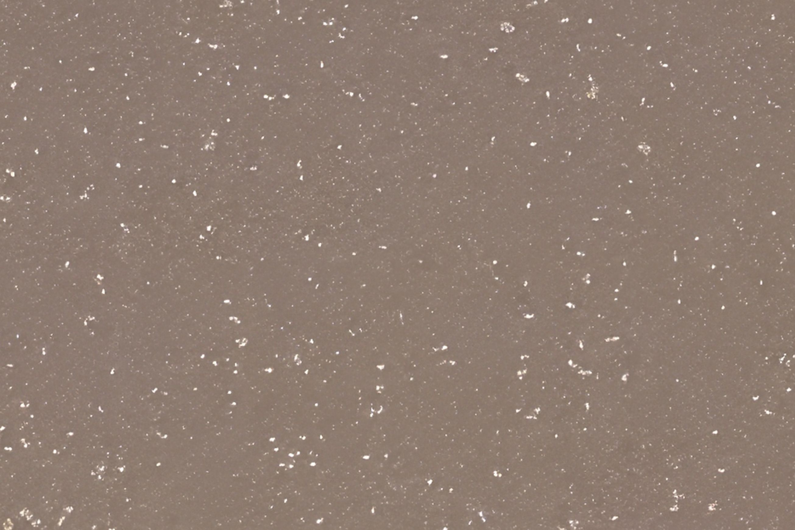 Altro Aquarius™ - R11 Bathroom Flooring