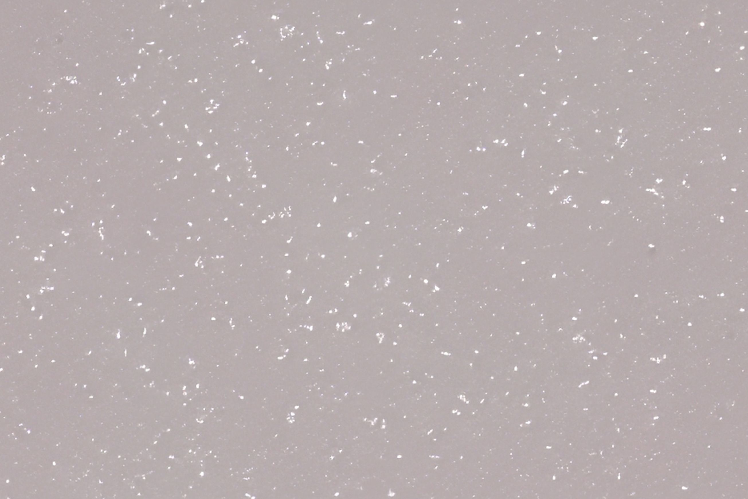 Altro Aquarius™ - R11 Bathroom Flooring