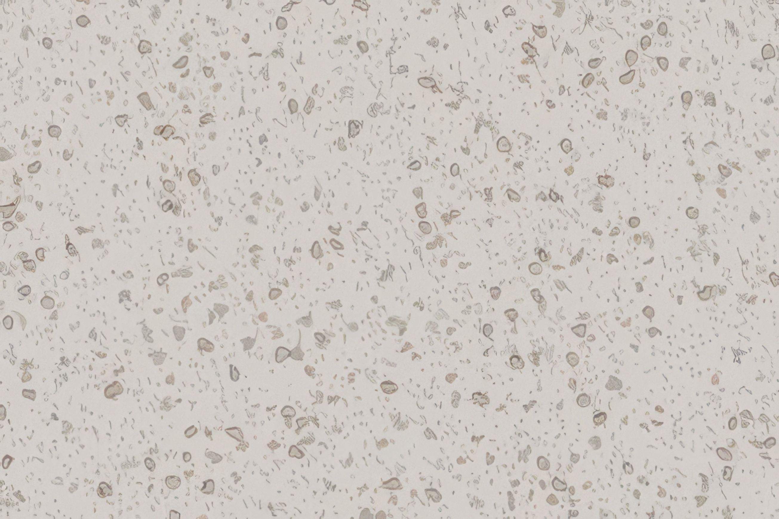 Altro Suprema™ - R10 Safety Flooring