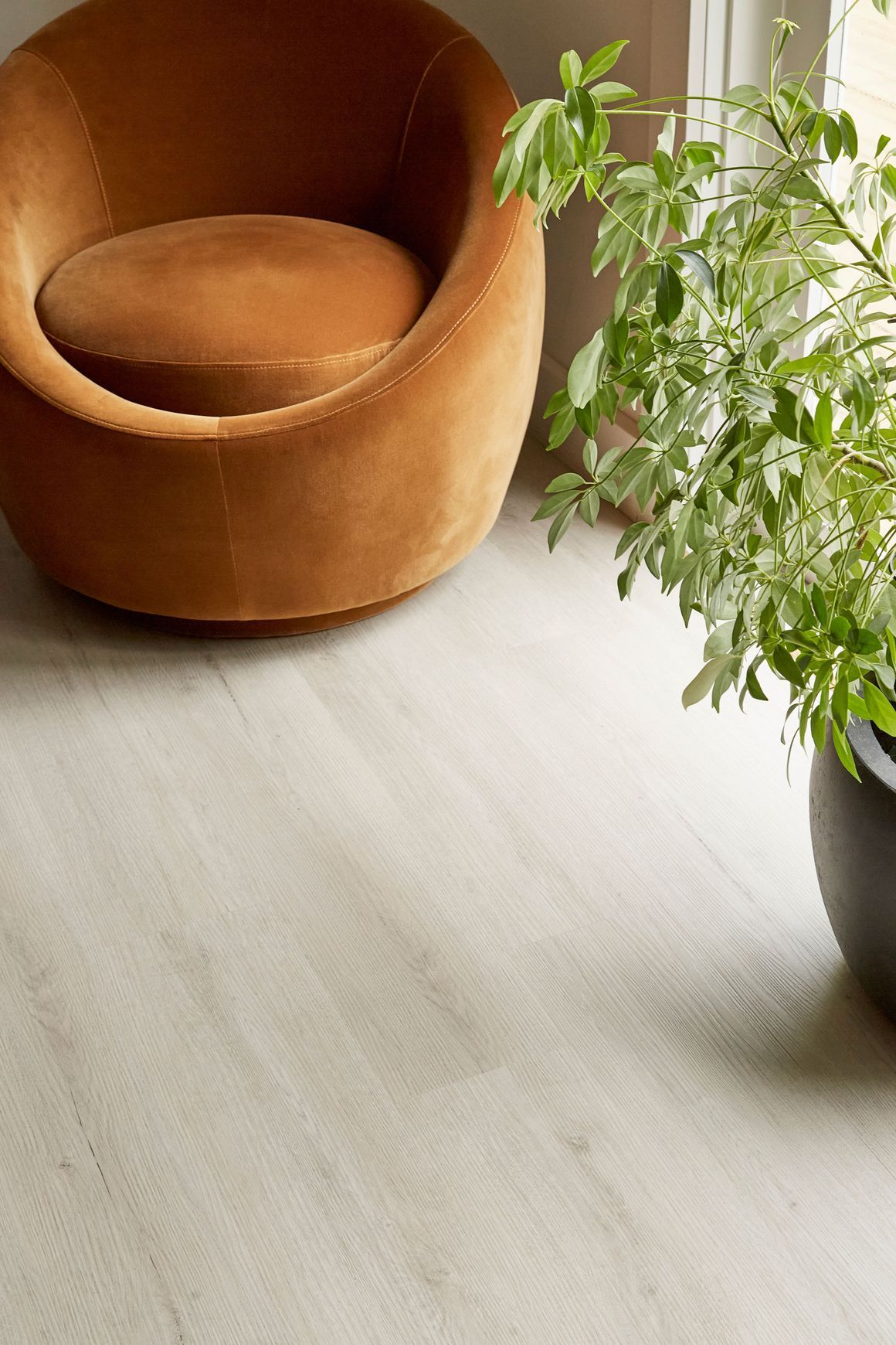 Kingswood 1.5 | Jamieson Oak