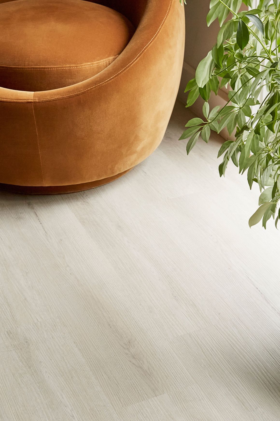 Kingswood 1.5 | Tasmanian Hardwood Classic
