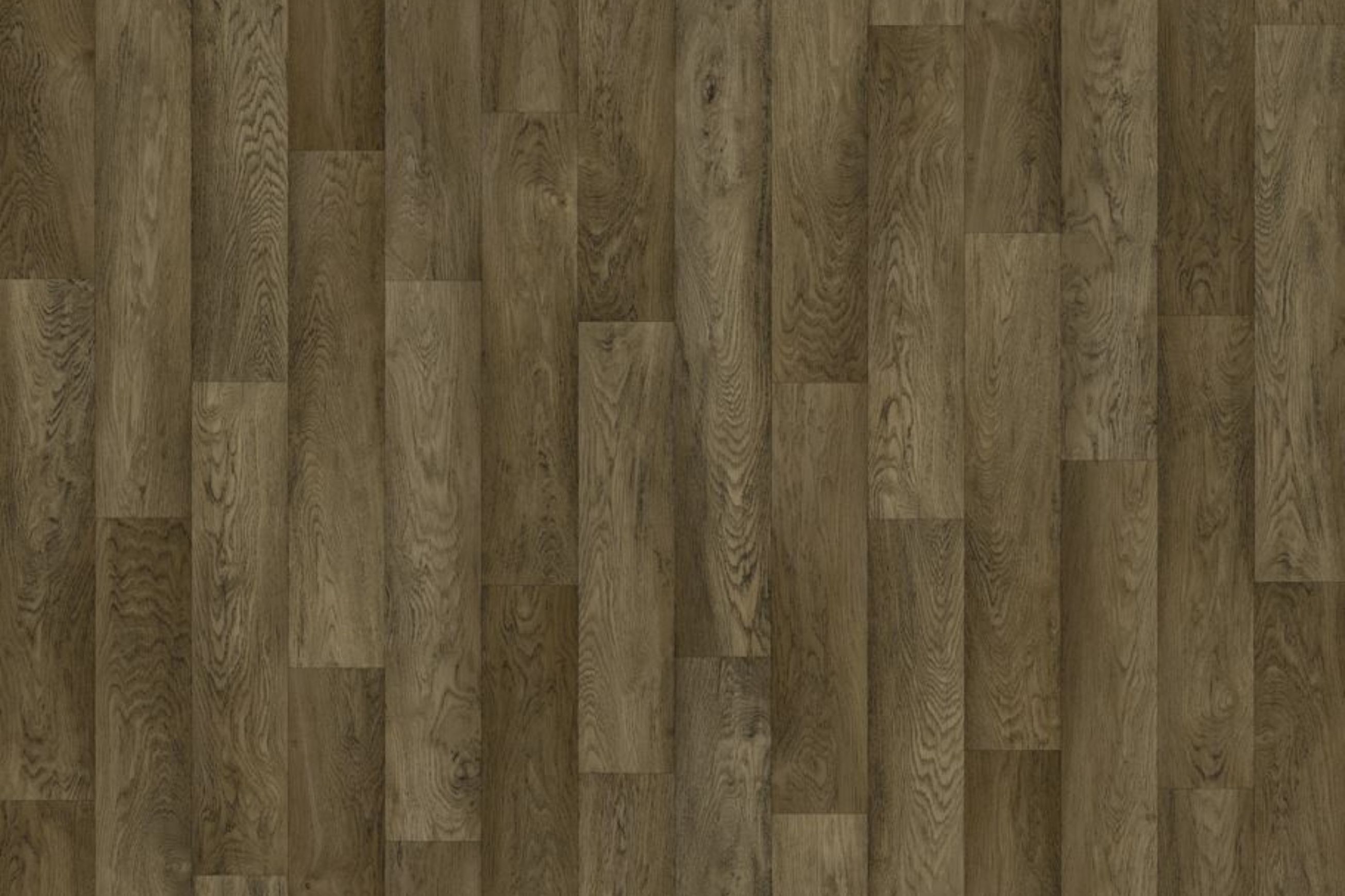 Timberline Plus | Well Versed Plus
