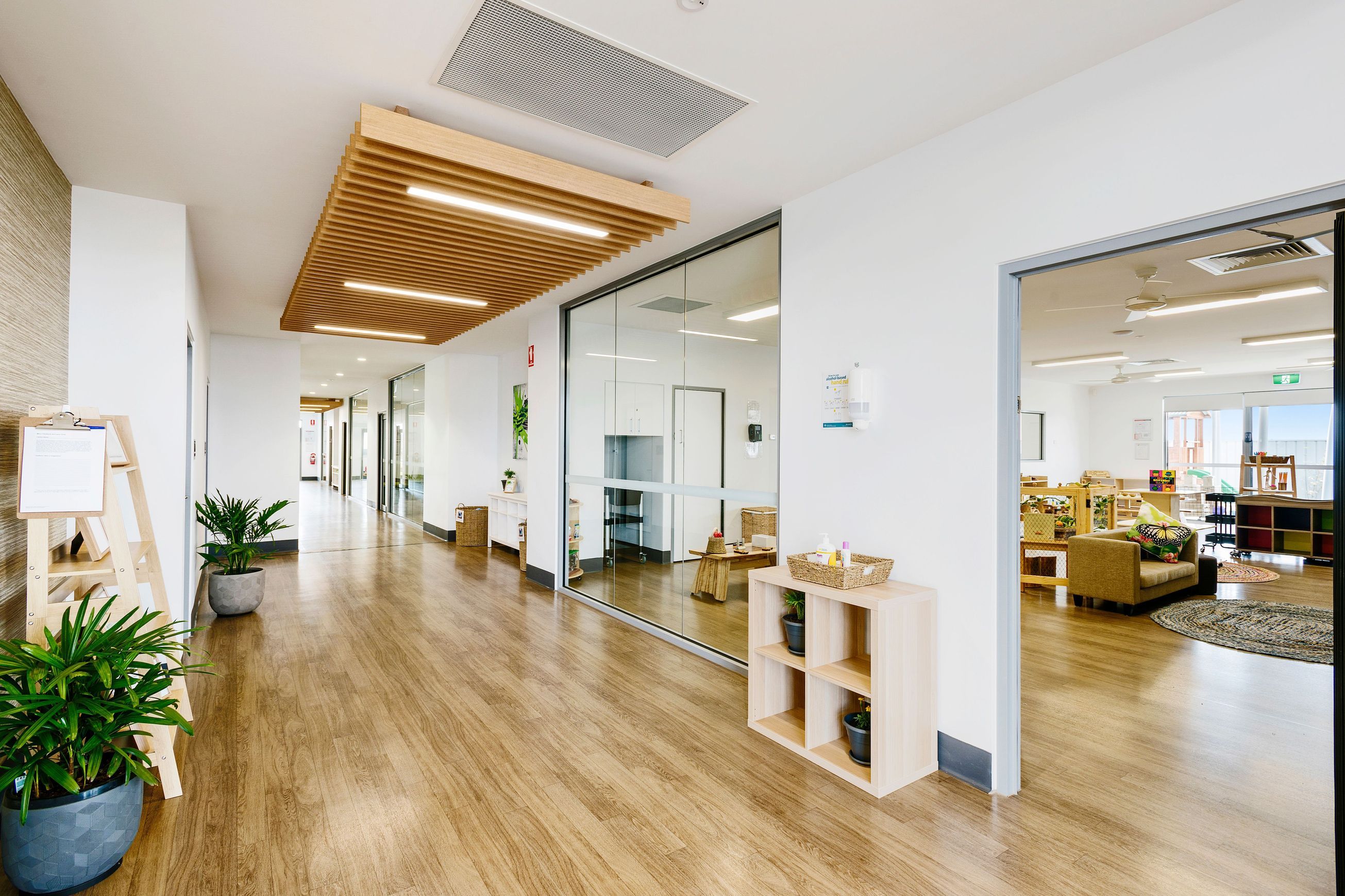 Timberline Plus | Spotted Gum Plus