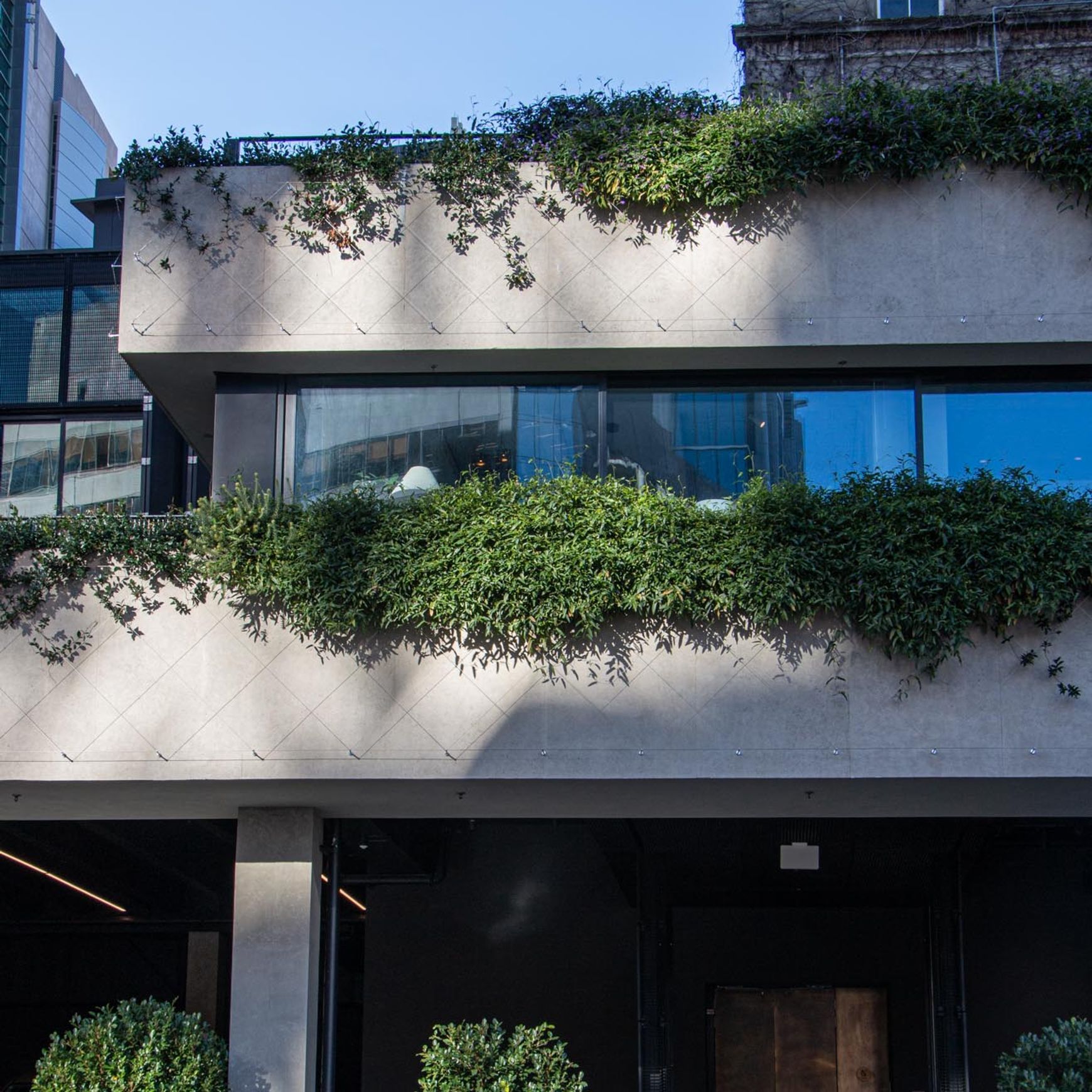 SRS Green Facades | Screens