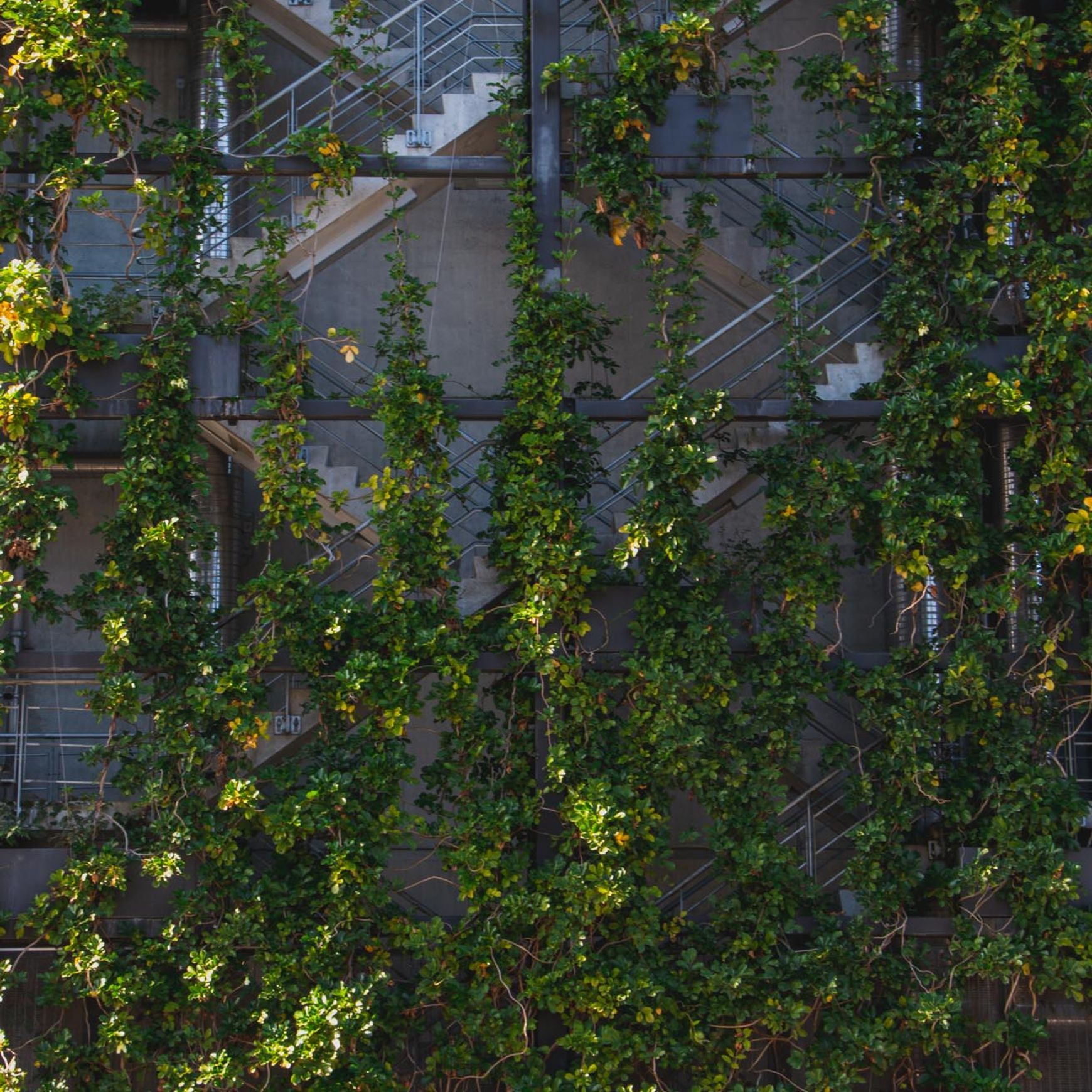 SRS Green Facades | Screens