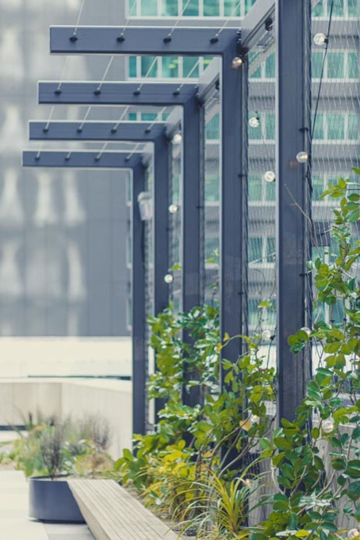 SRS Green Facades | Screens