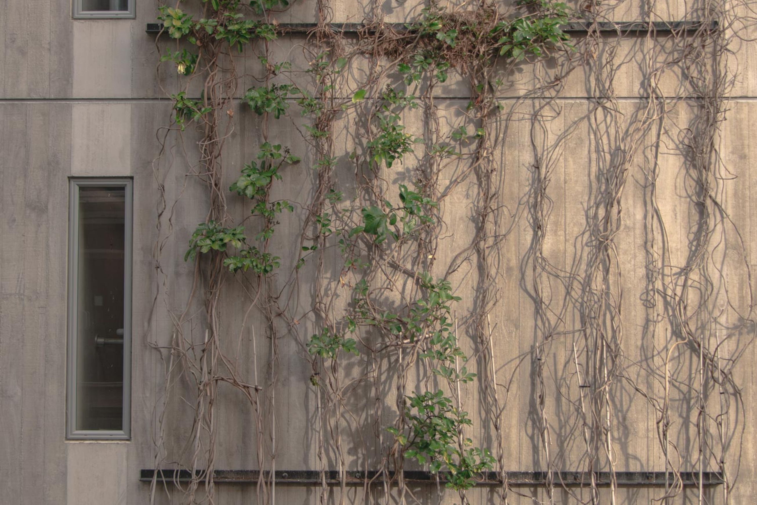 SRS Green Facades | Screens