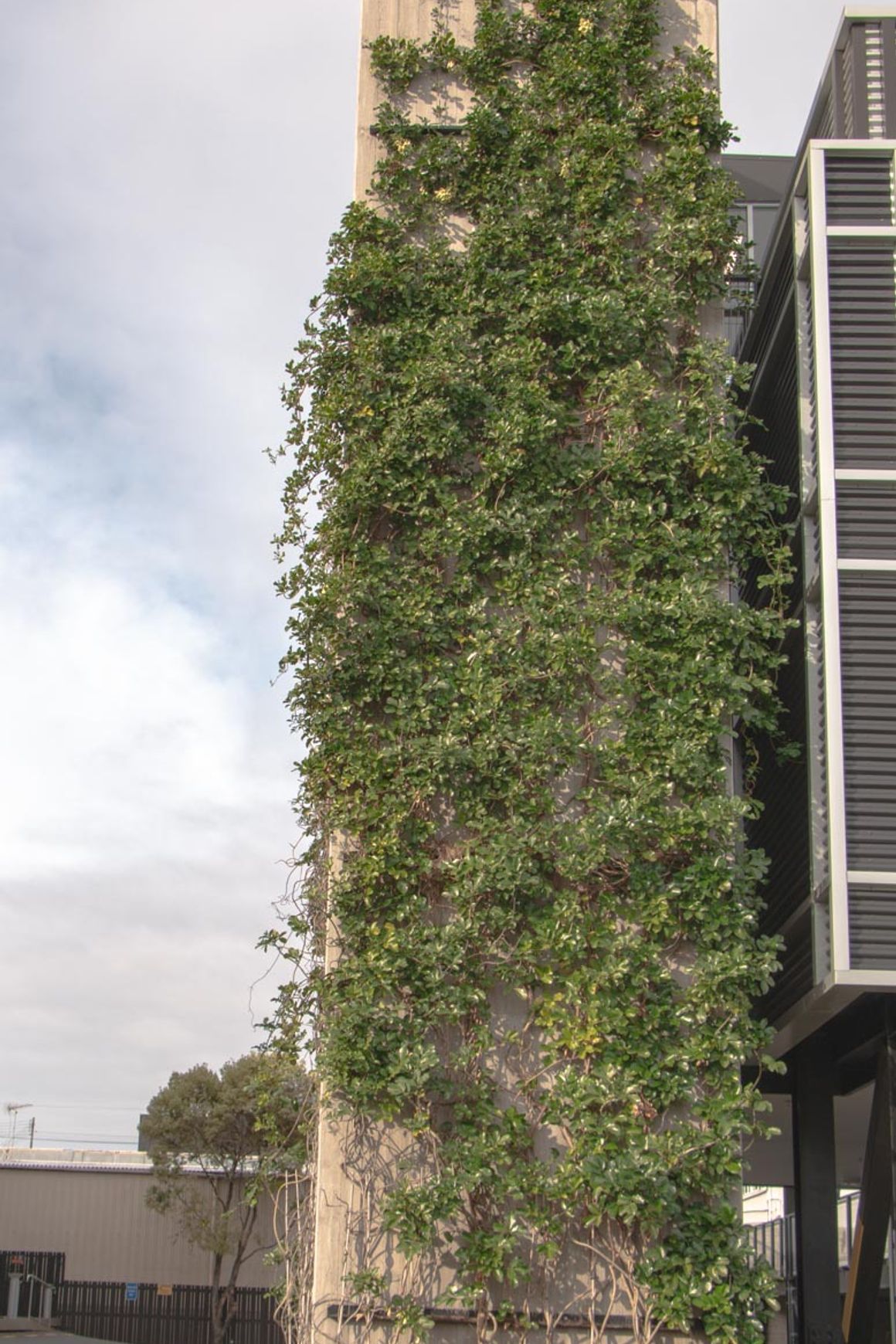 SRS Green Facades | Screens
