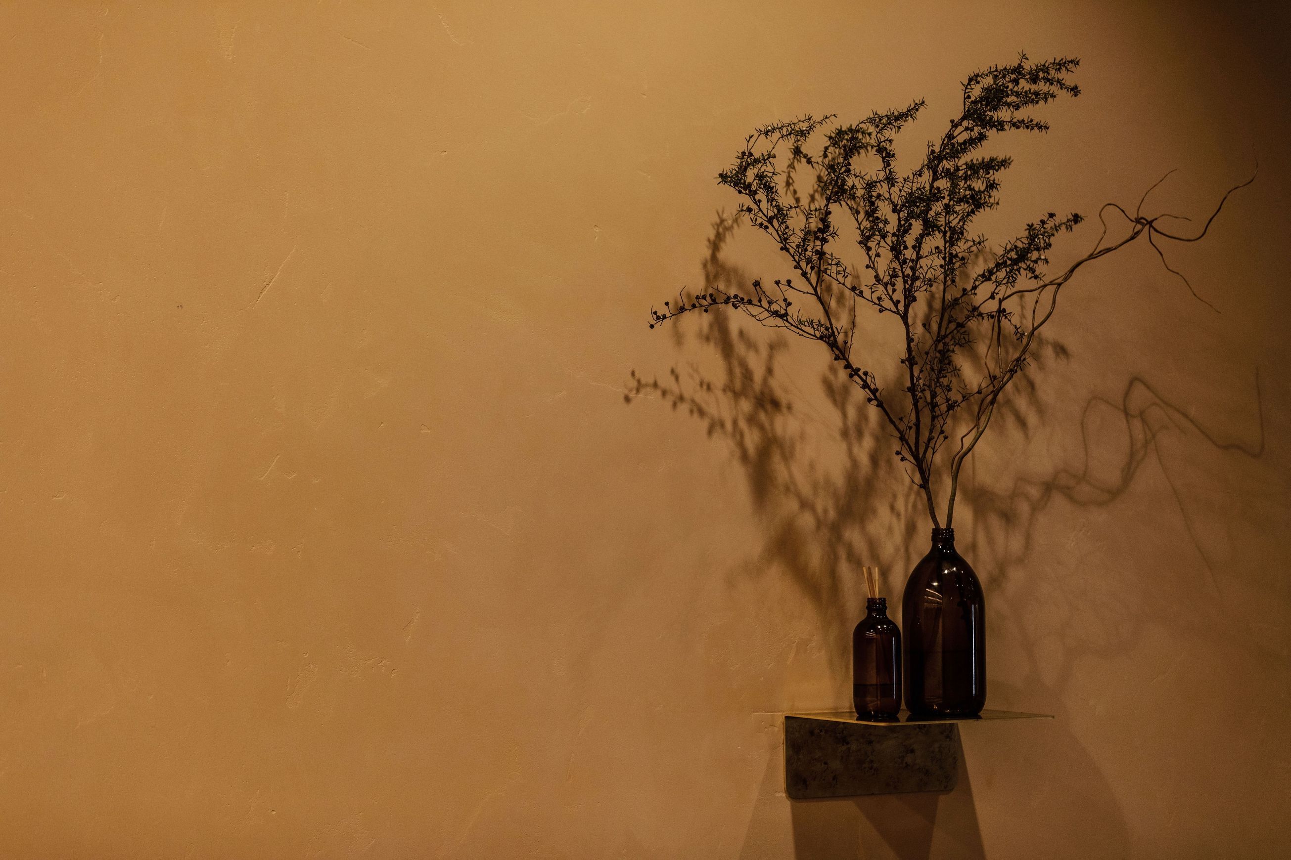 Suave Polished Plaster
