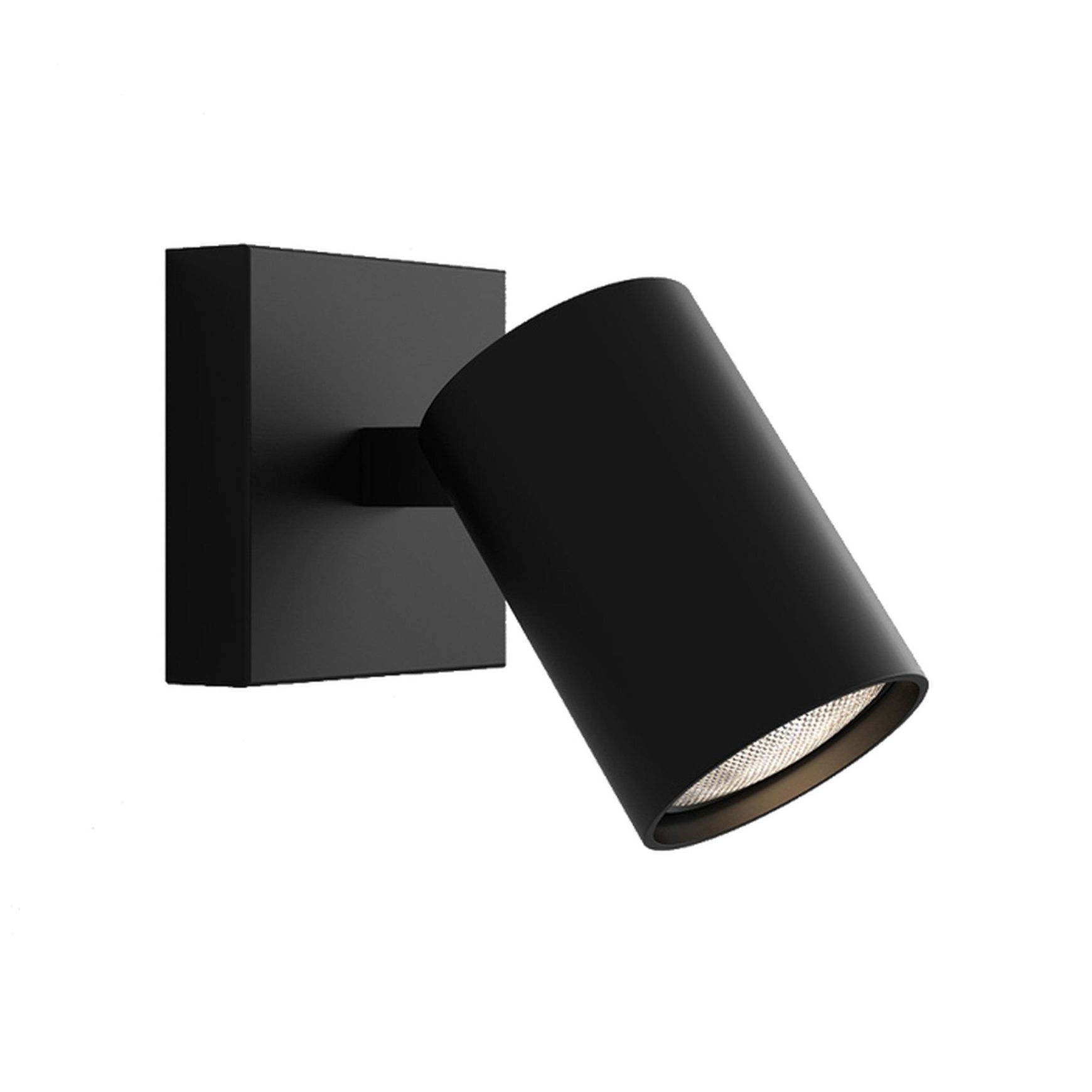 Ascoli Single Surface