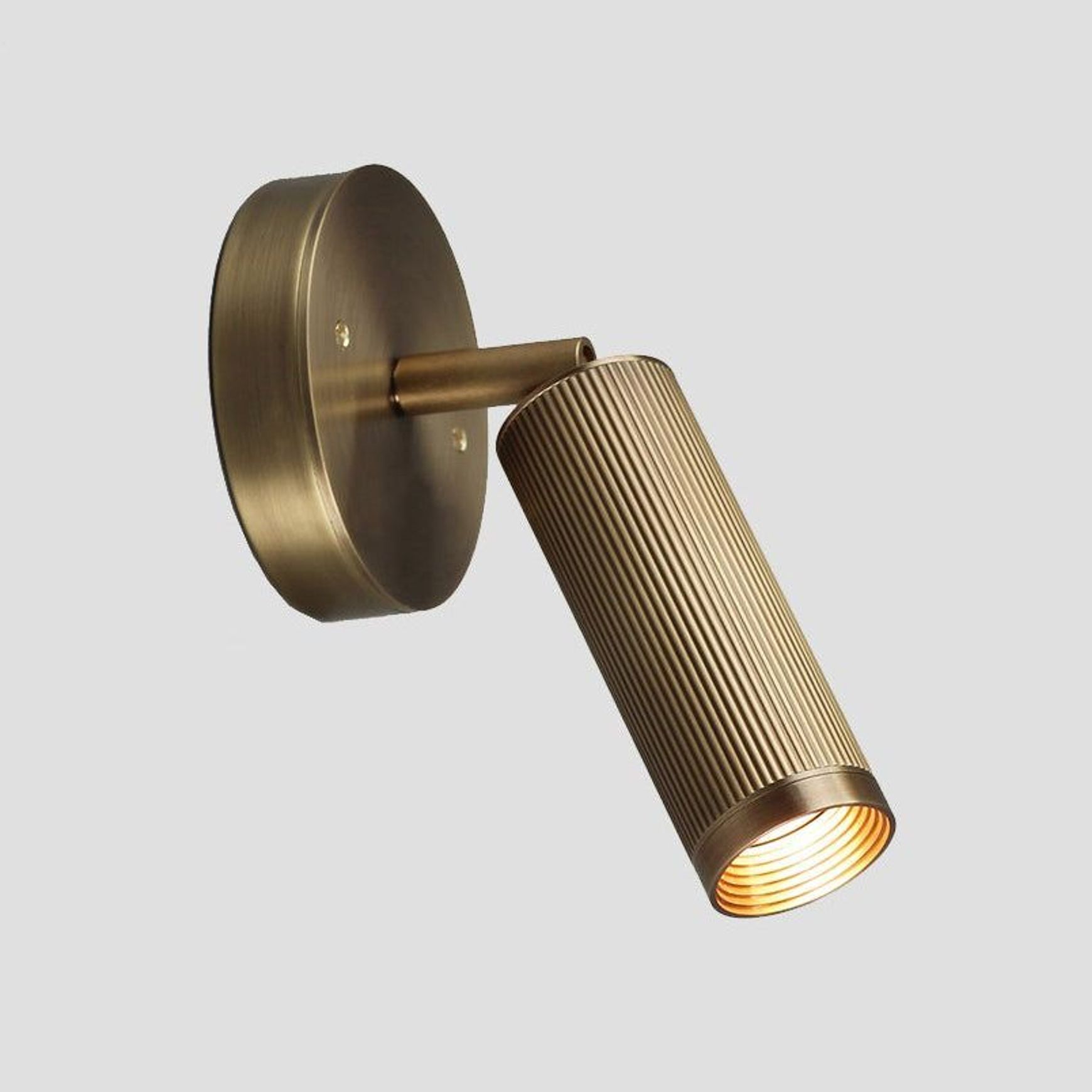 Spot Wall Light