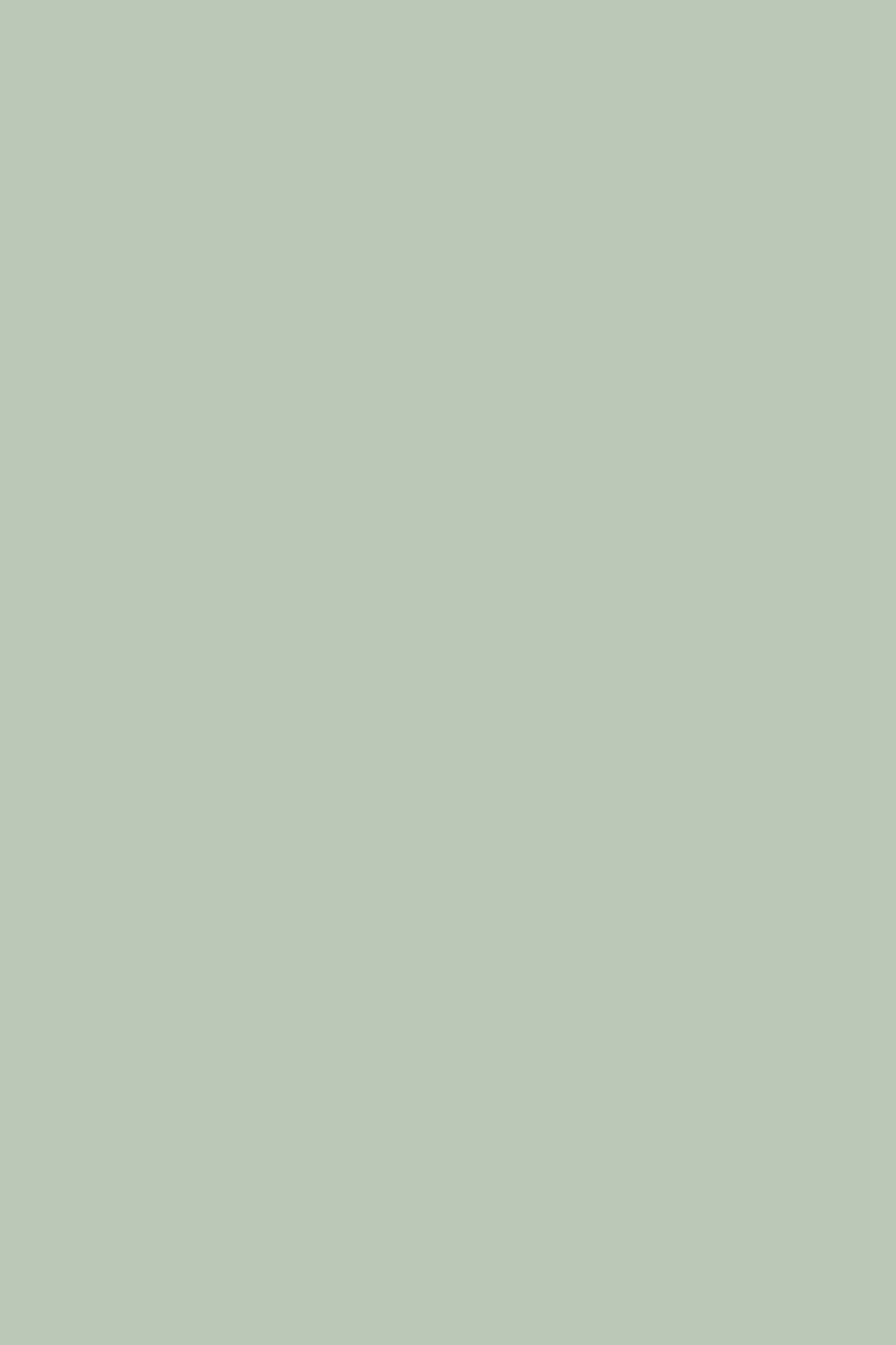 Altro Whiterock Satins™ Hygienic Wall Lining