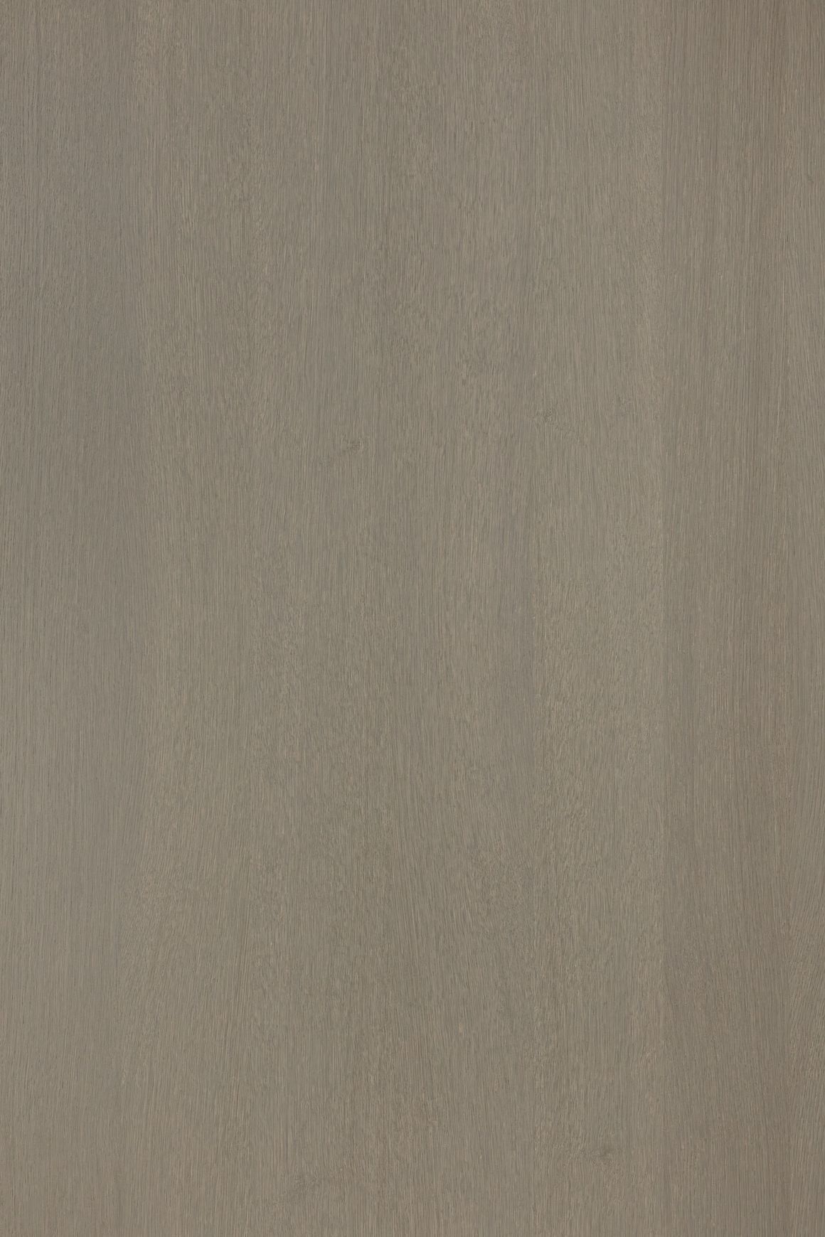 Alor Asta Oak 1F1B 3050mm Veneer Panel